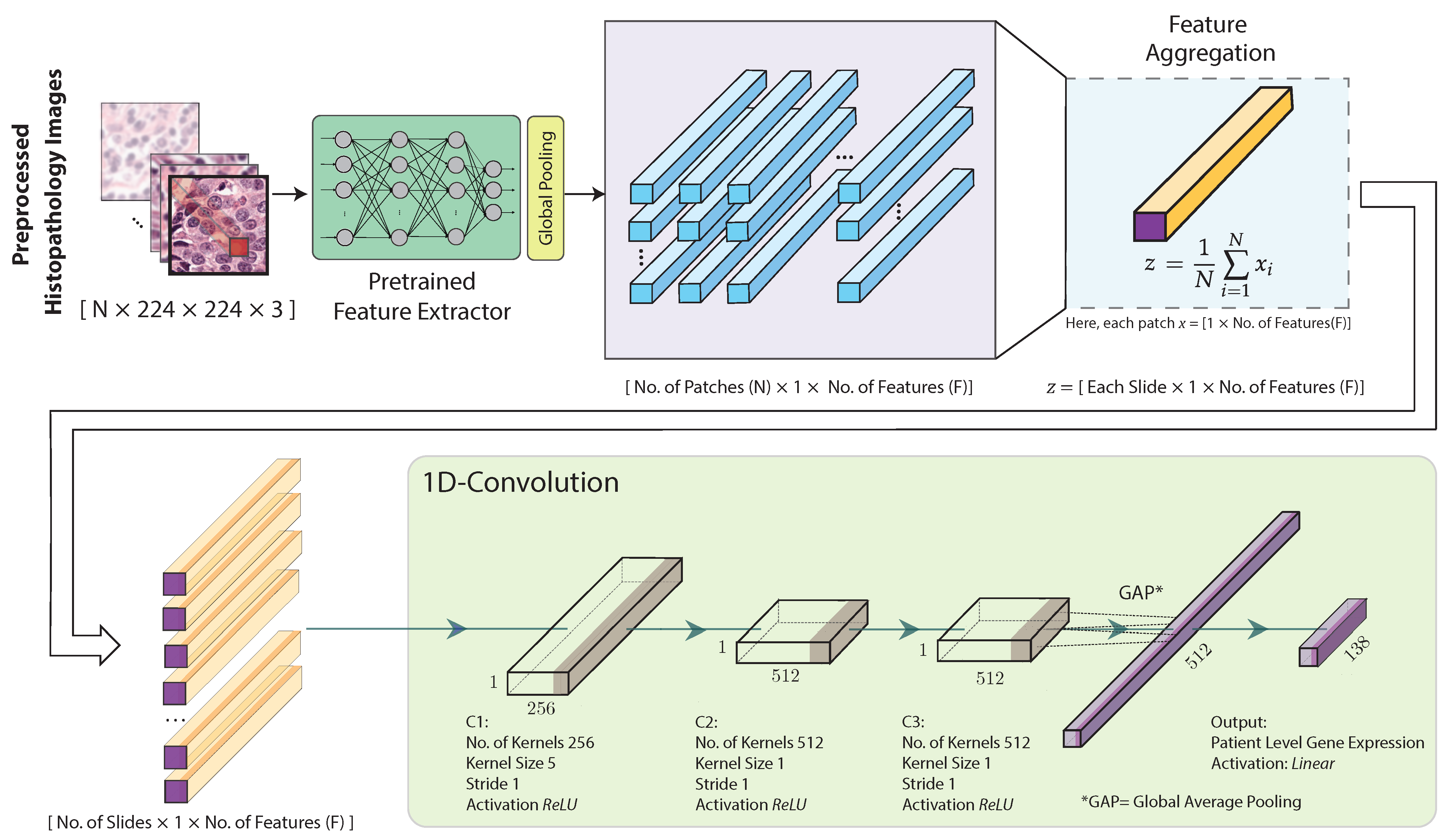 Cancers 15 02569 g002