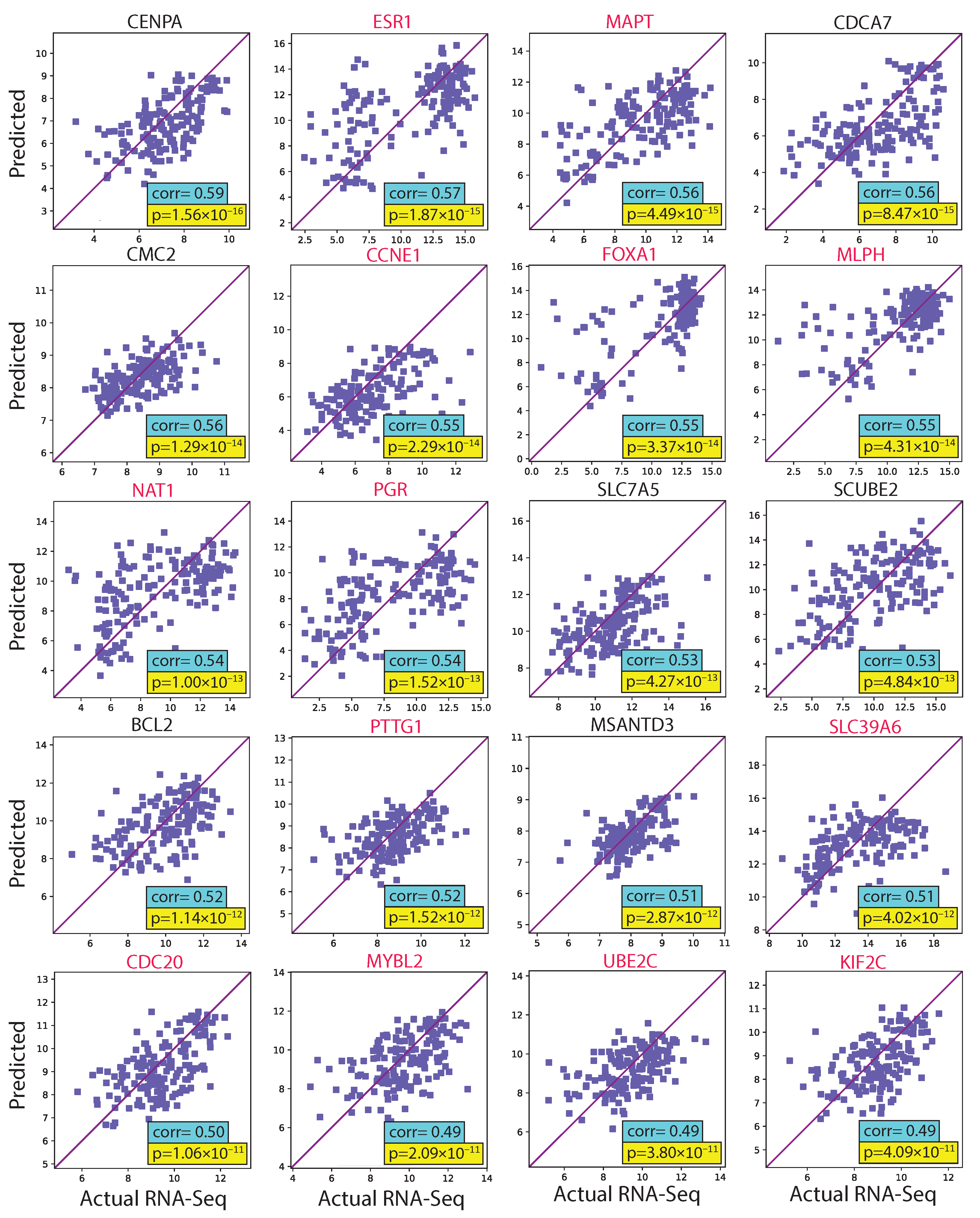 Cancers 15 02569 g004