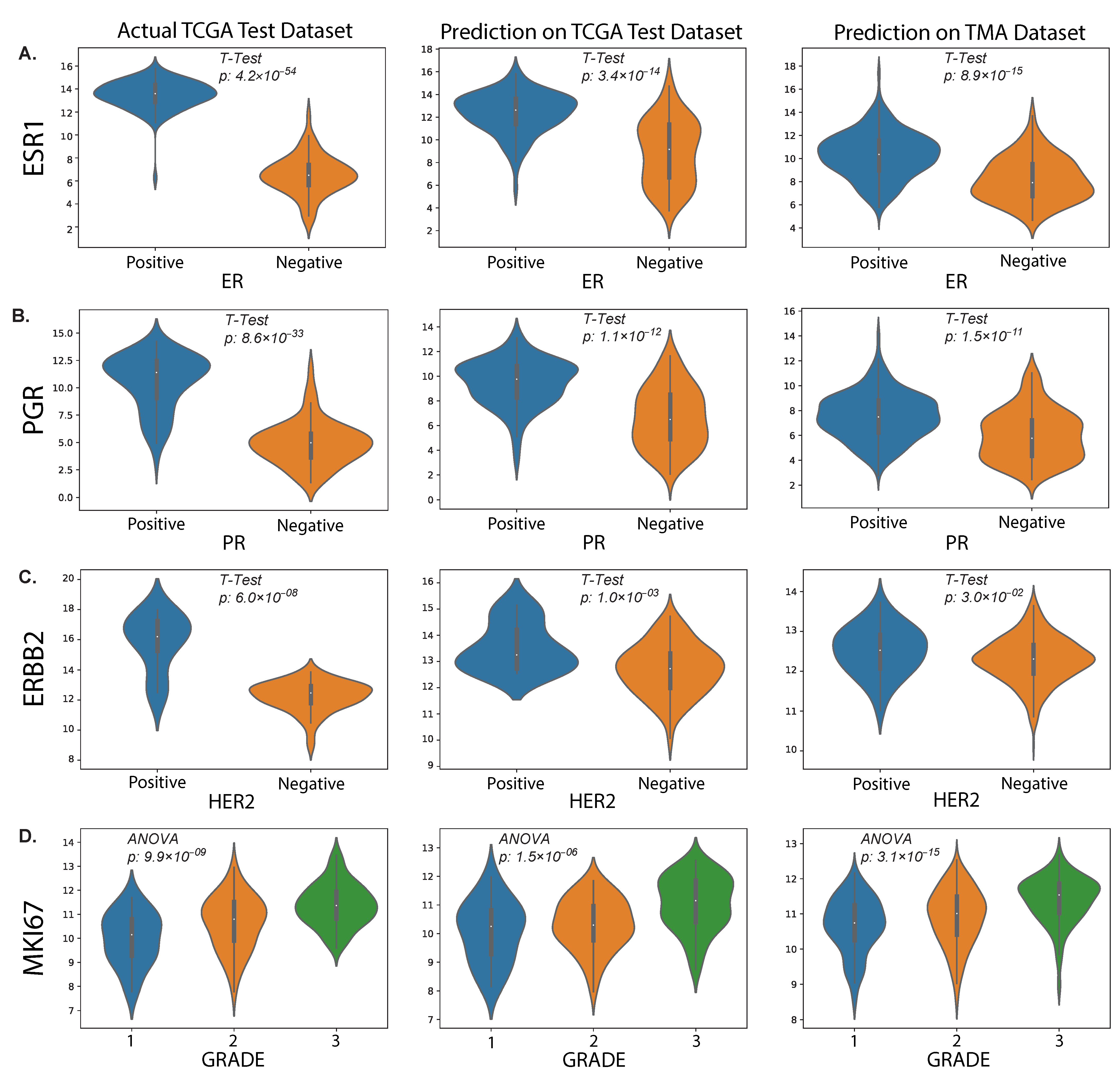 Cancers 15 02569 g007