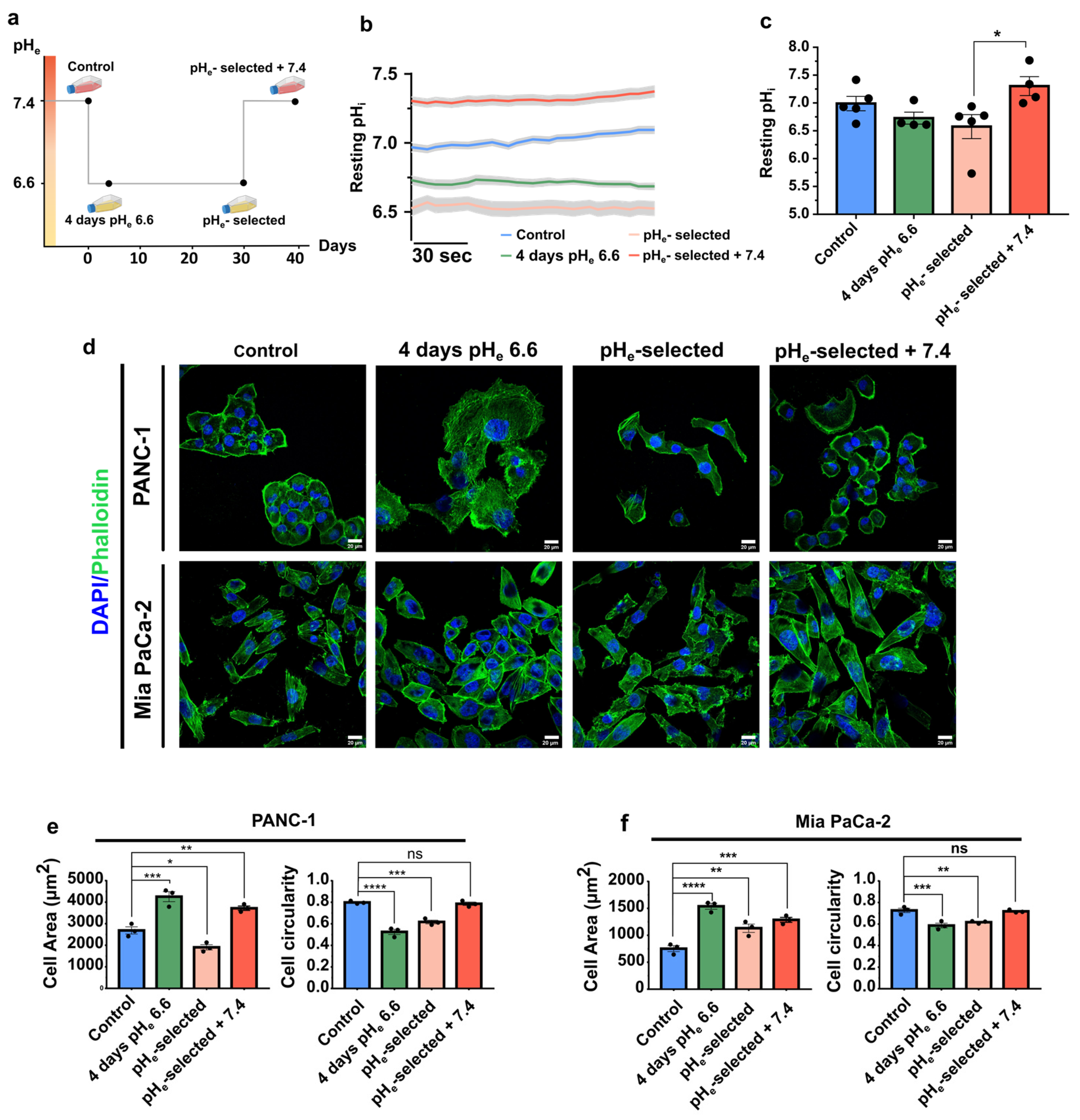 Cancers 15 02572 g001