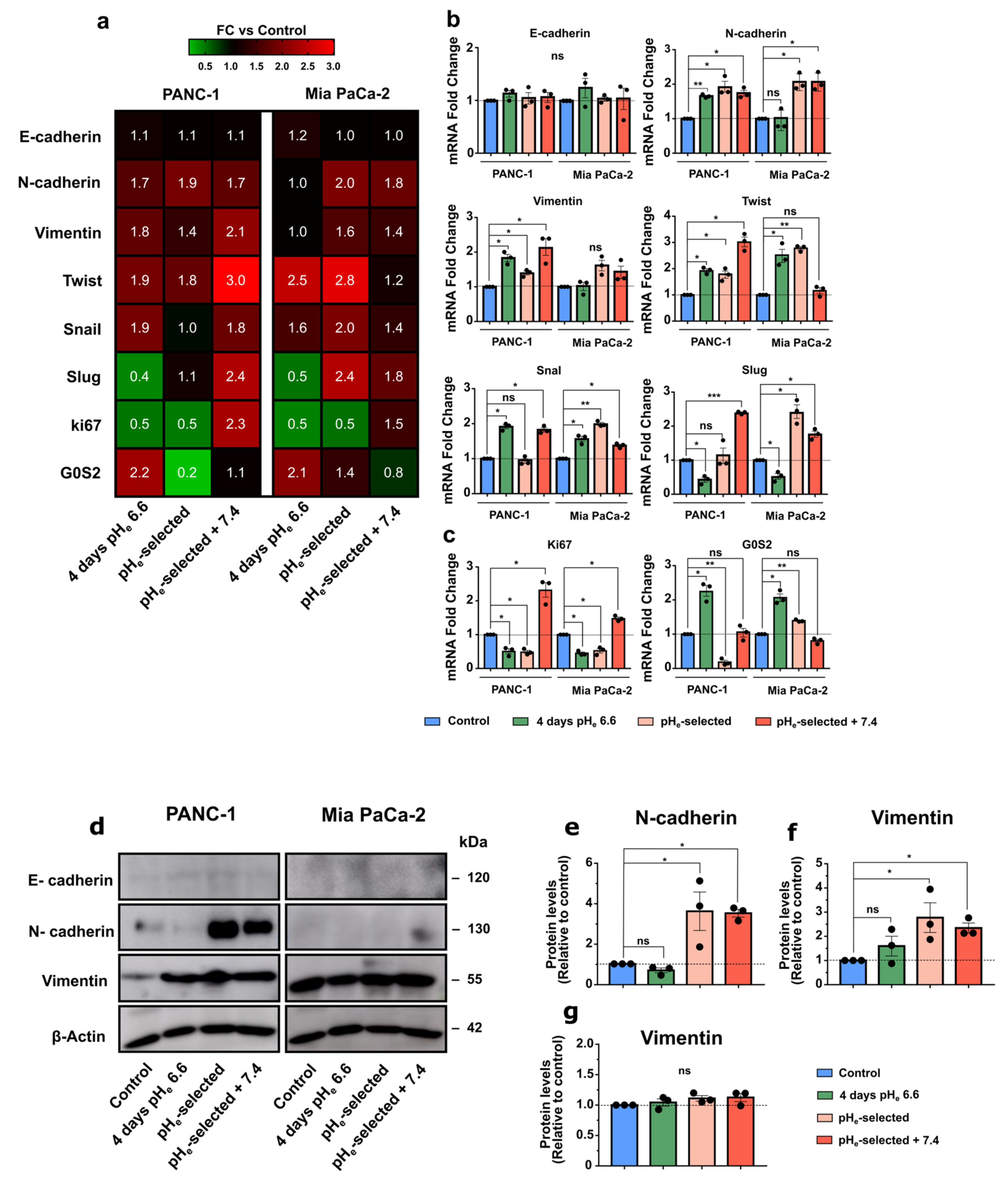 Cancers 15 02572 g005