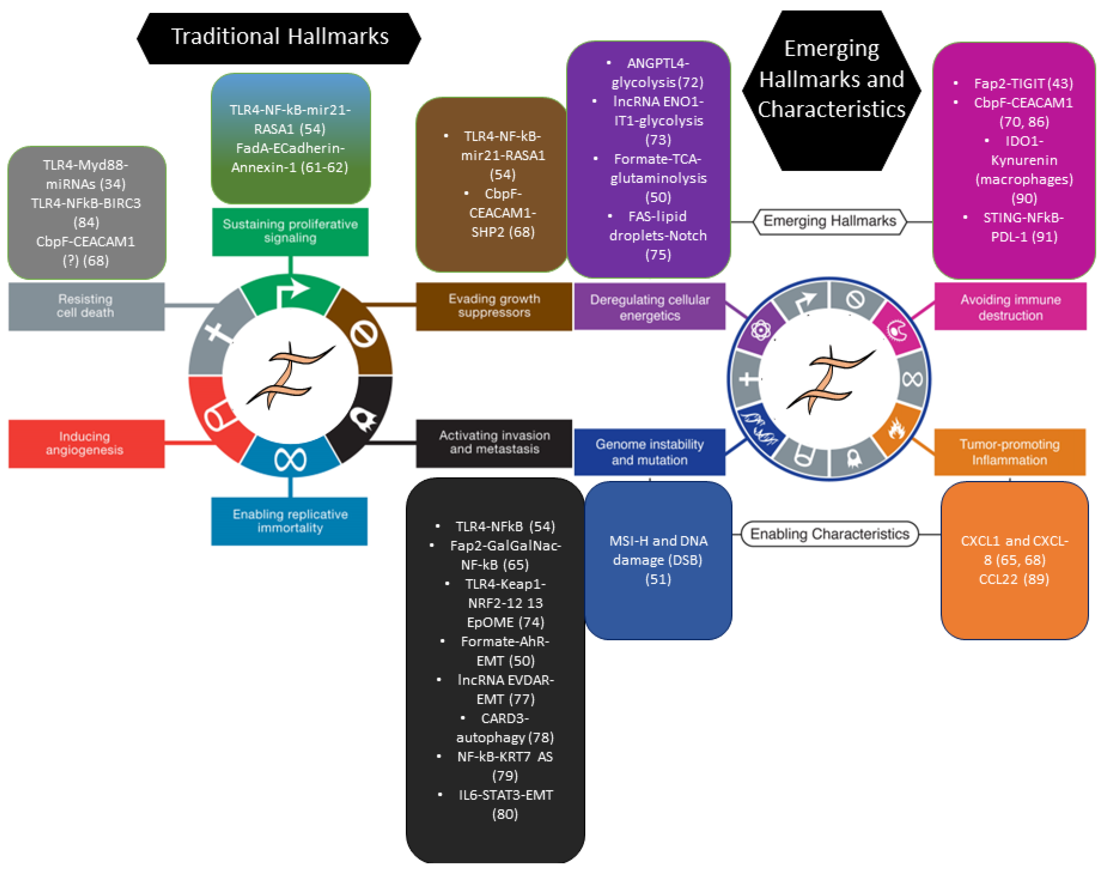 Cancers 15 02583 g001