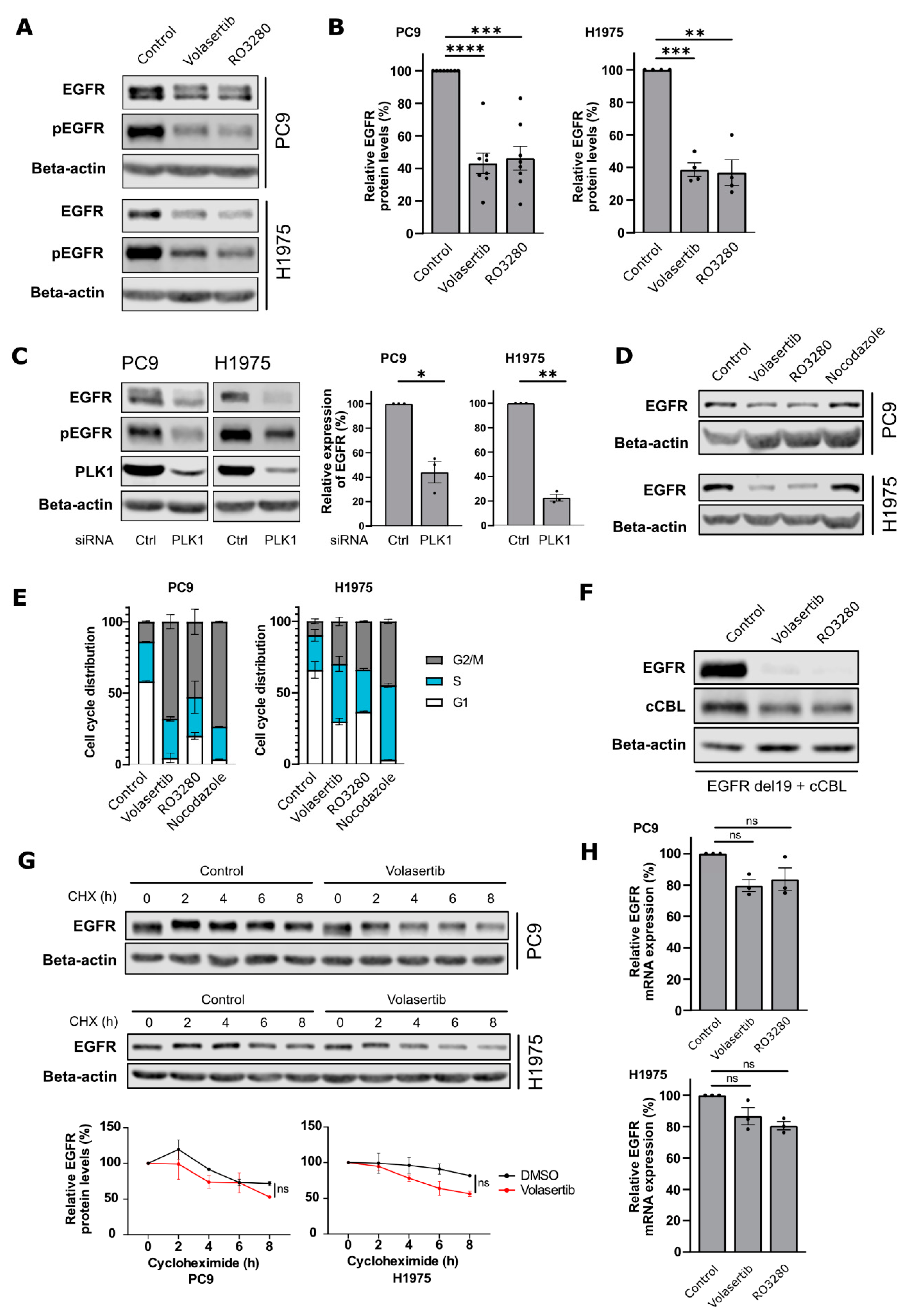 Cancers 15 02589 g001 Cancers 15 02589 g001
