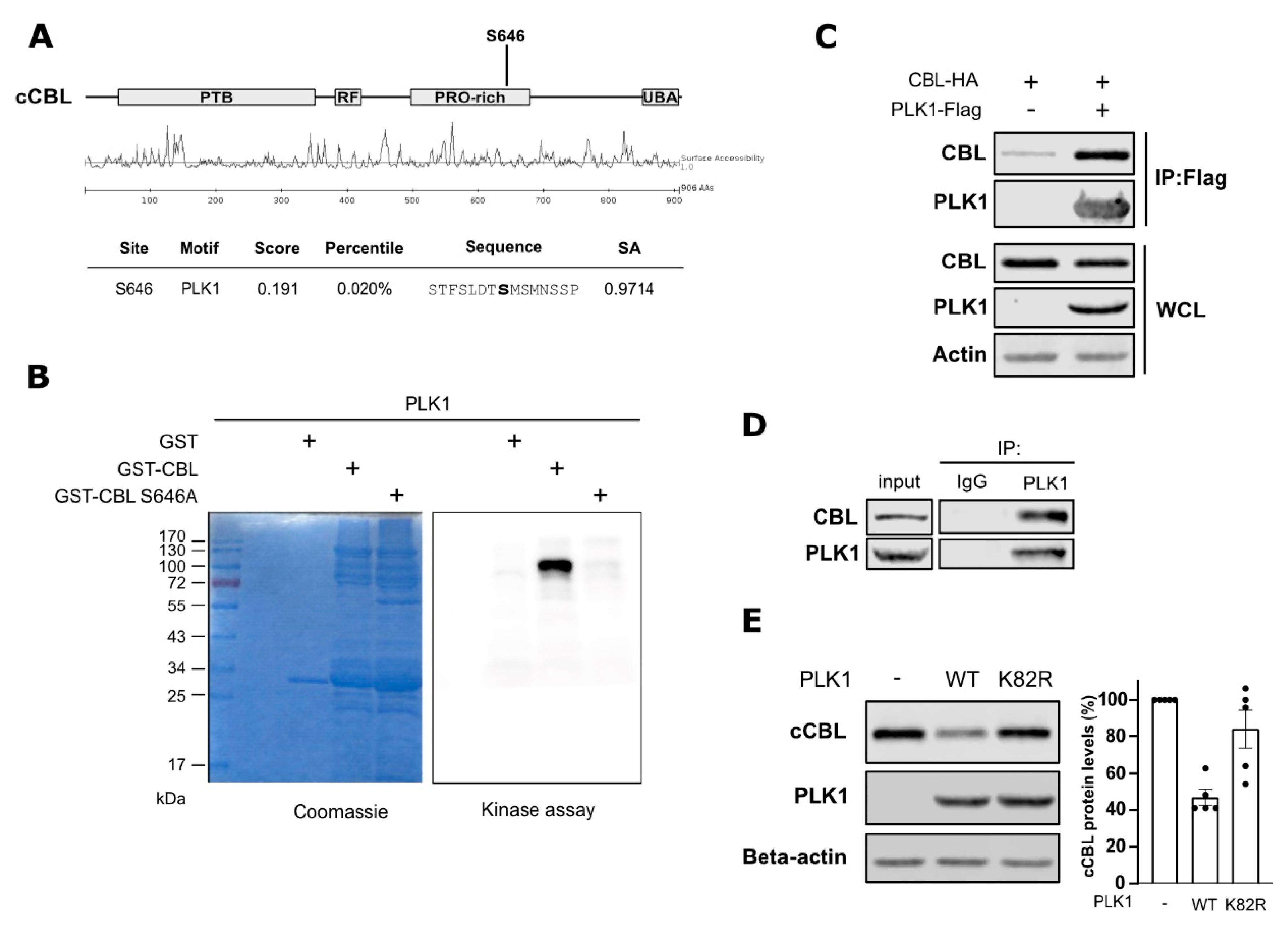 Cancers 15 02589 g002 Cancers 15 02589 g002