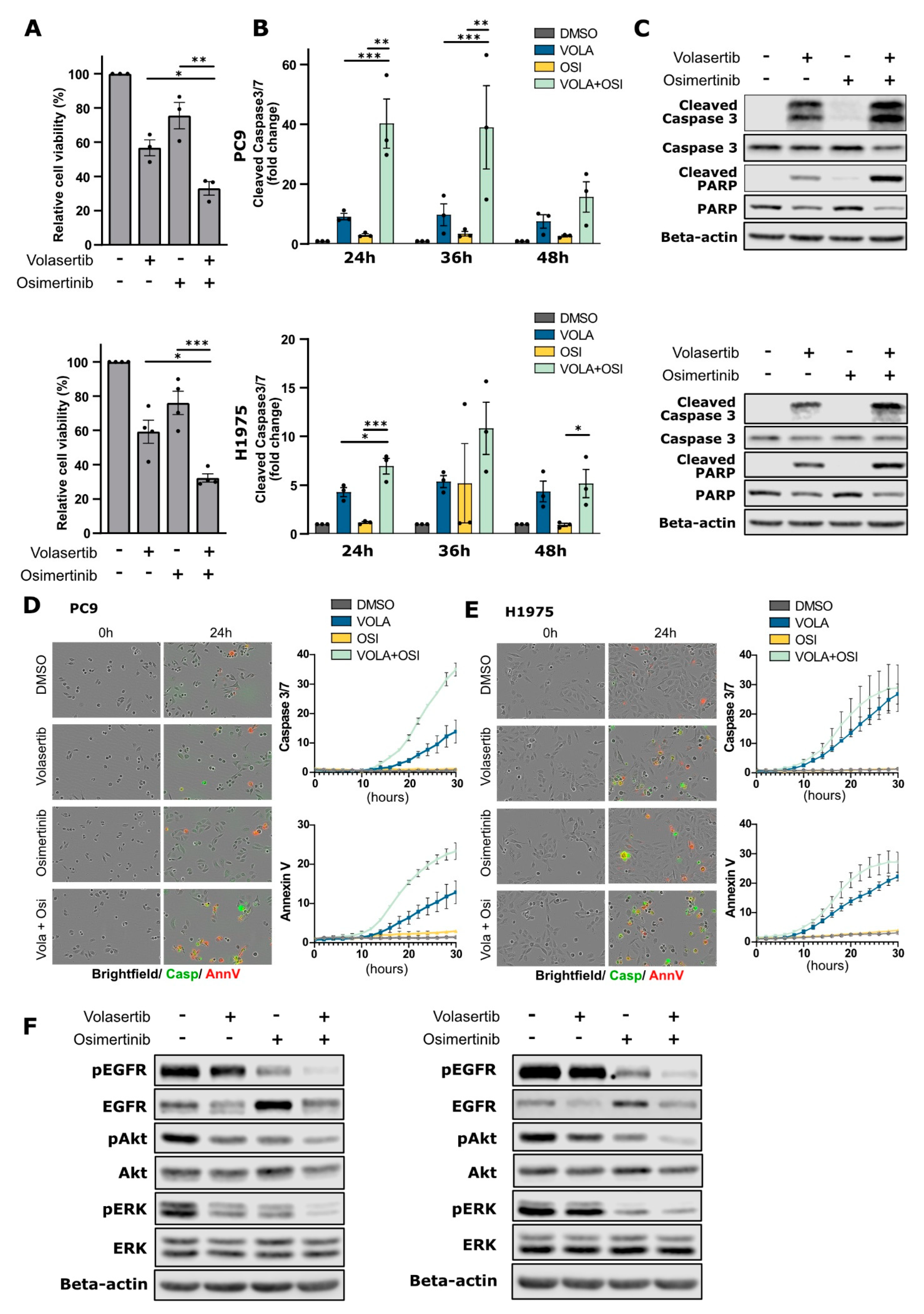 Cancers 15 02589 g003 Cancers 15 02589 g003