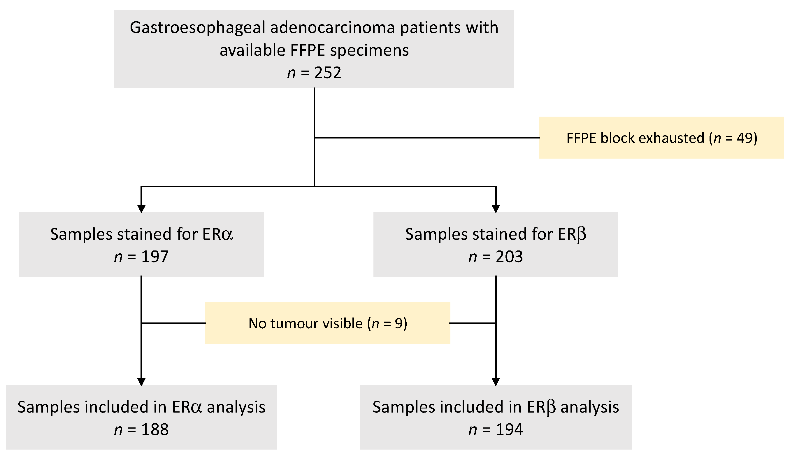 Cancers 15 02591 g001