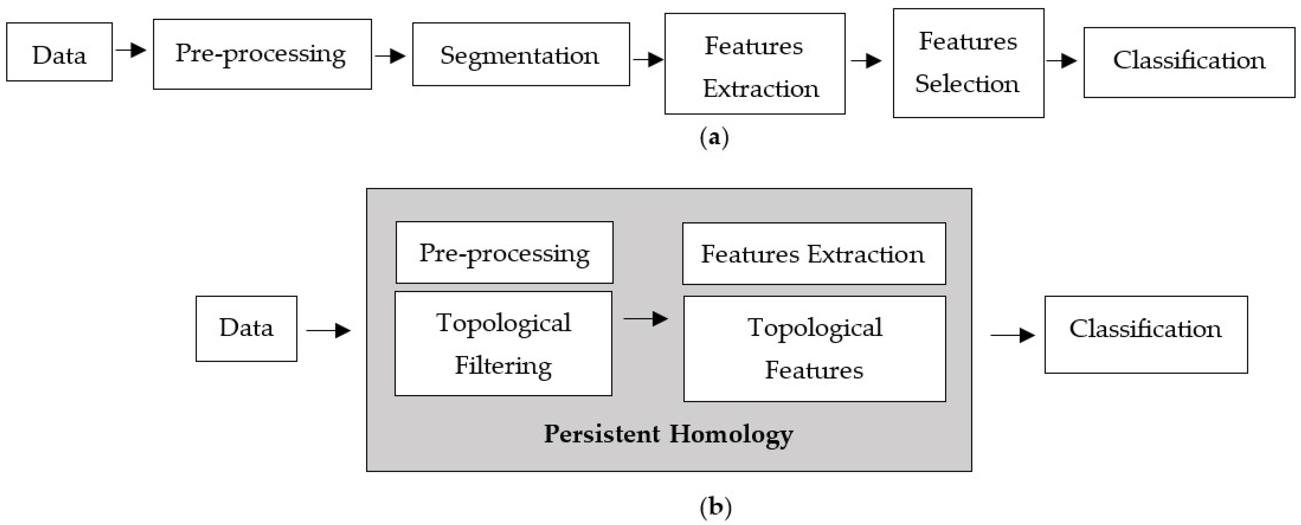 Cancers 15 02606 g002
