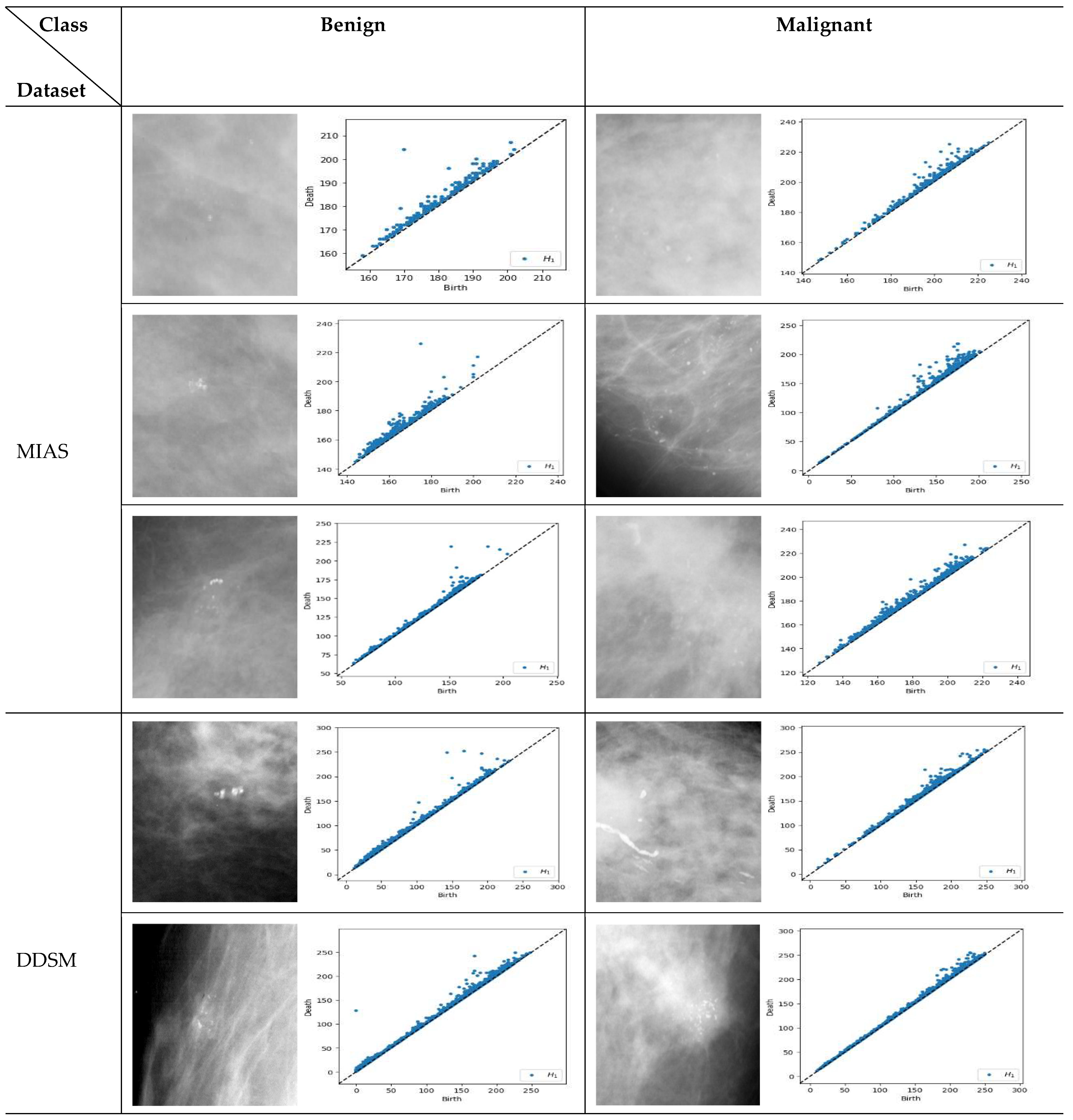 Cancers 15 02606 g005