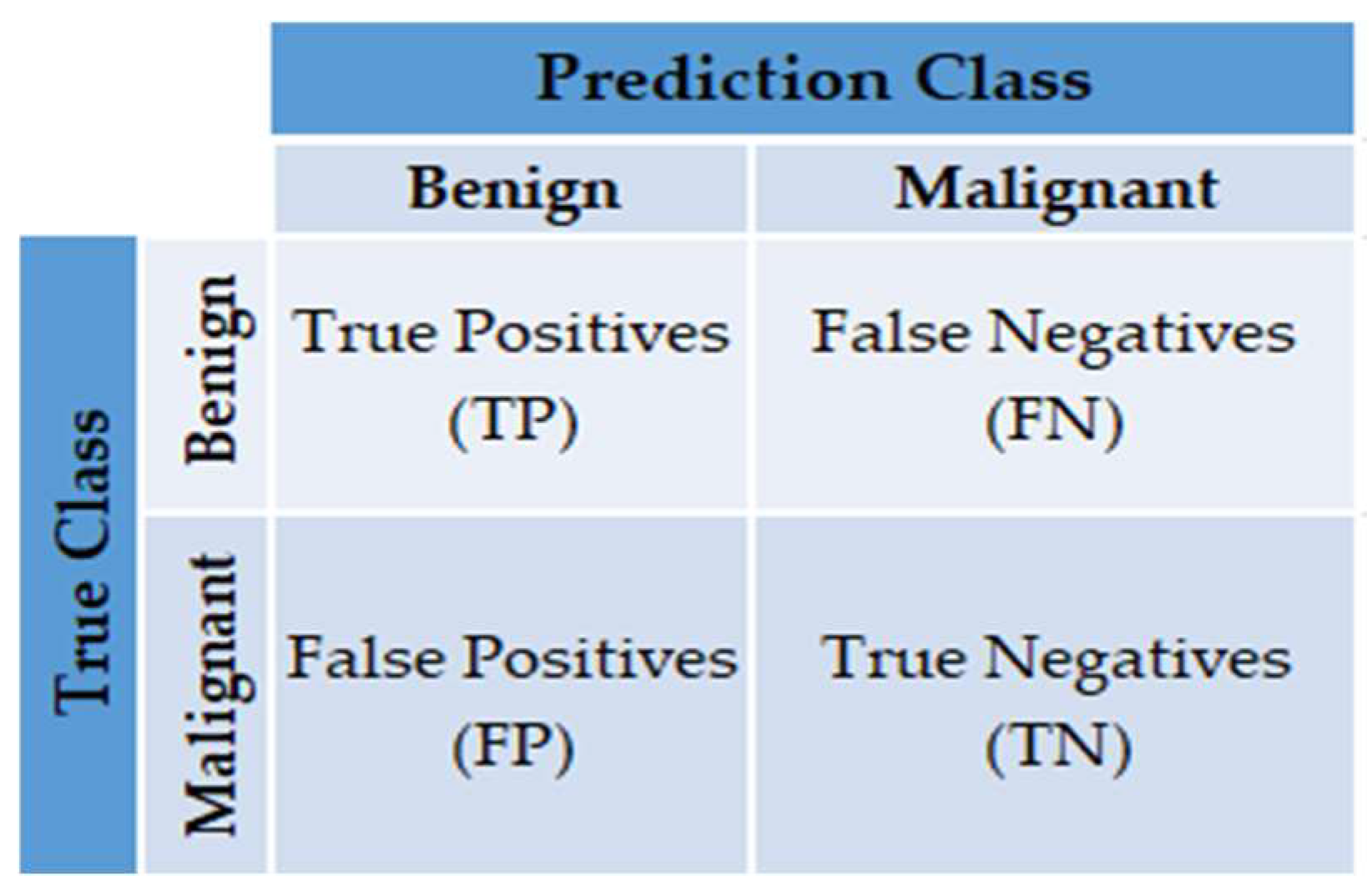 Cancers 15 02606 g007