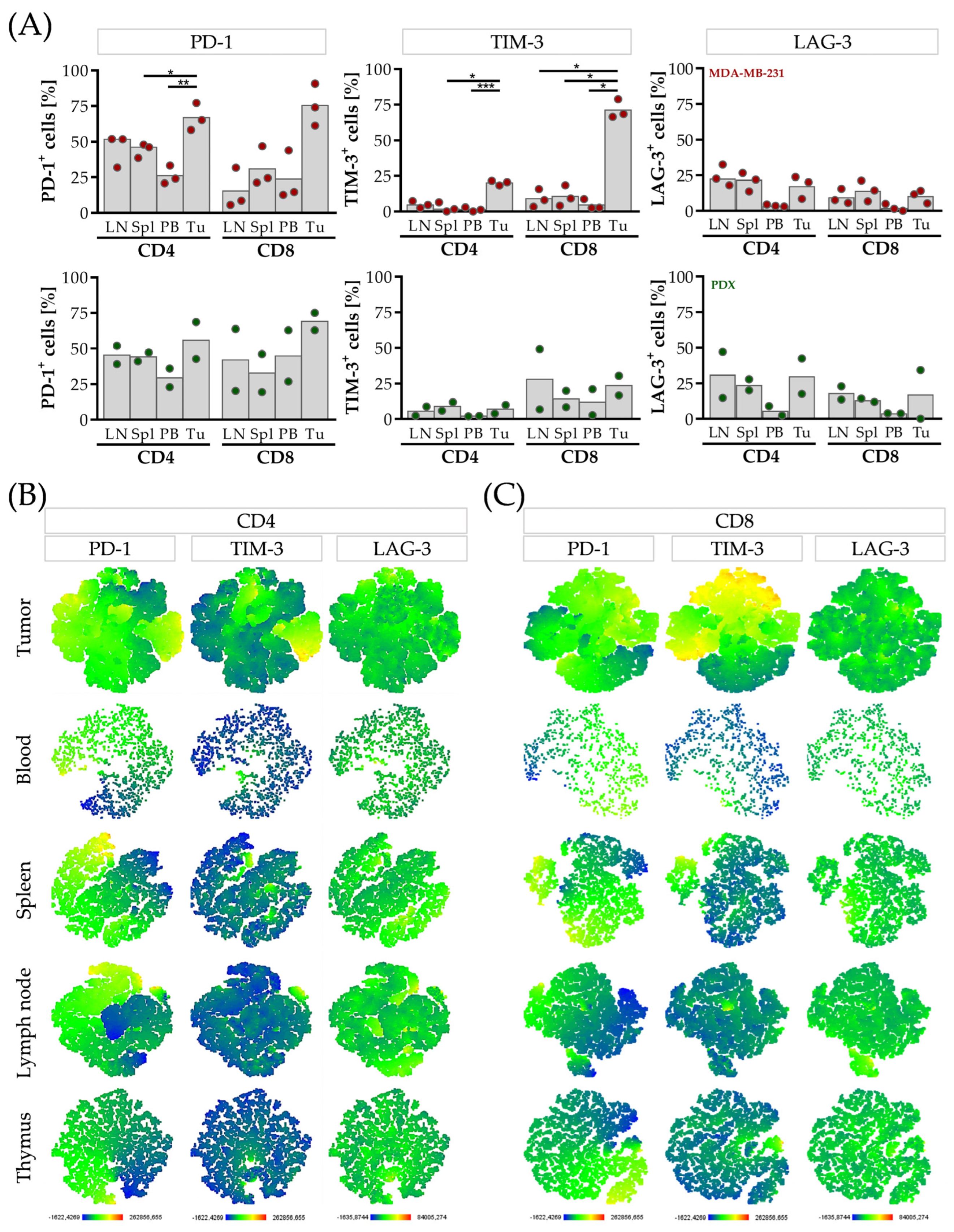Cancers 15 02615 g003