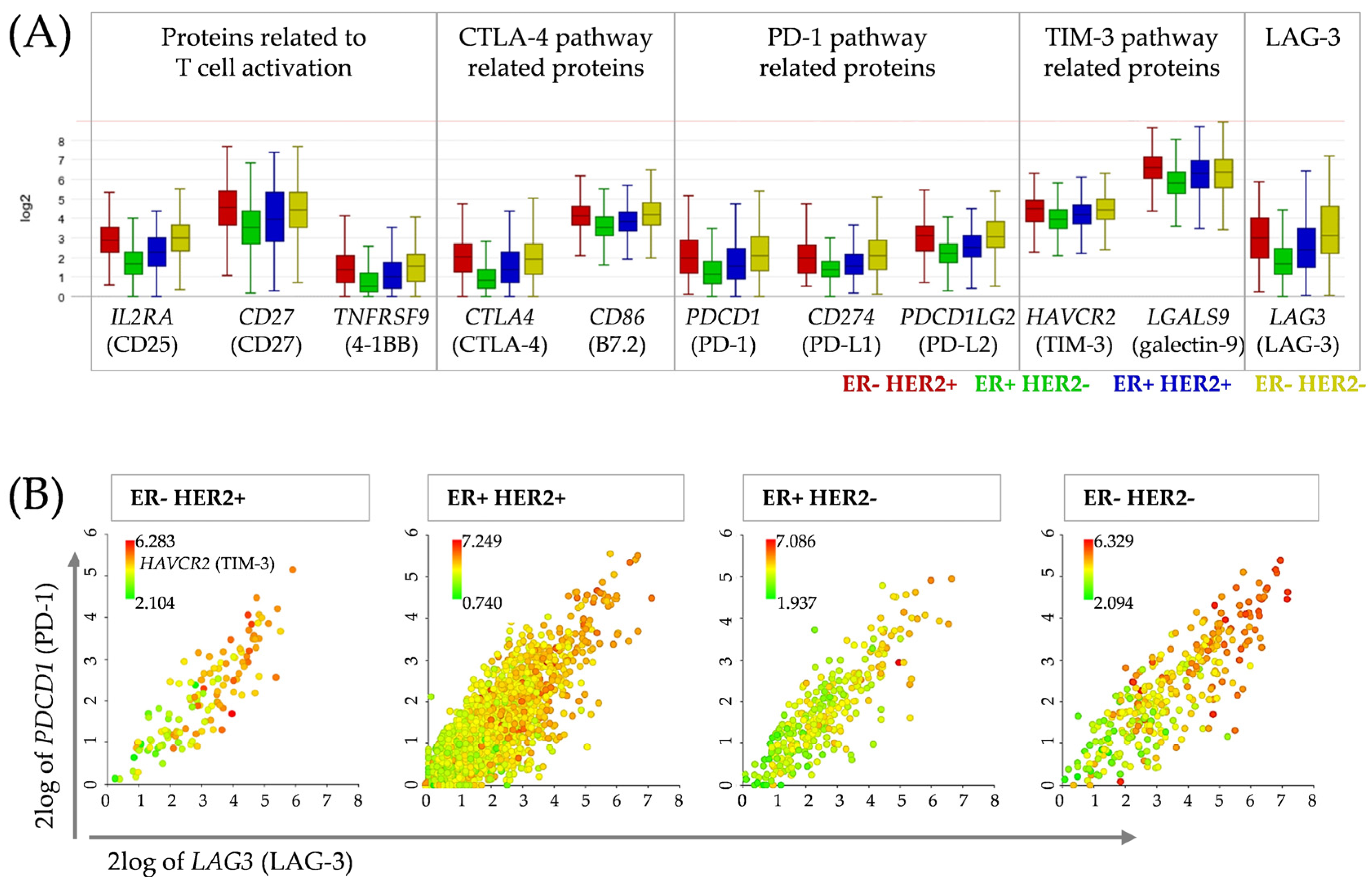 Cancers 15 02615 g004