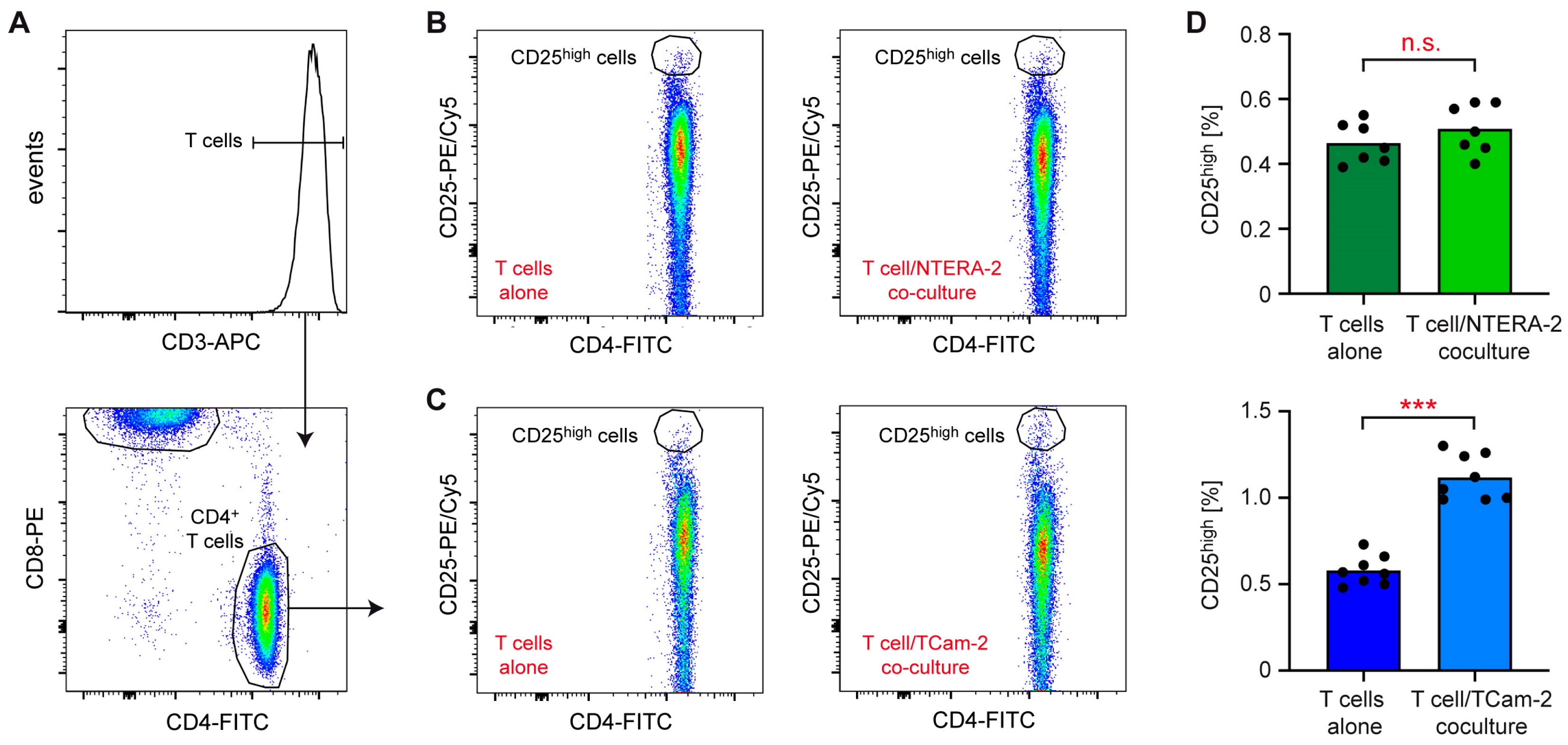 Cancers 15 02619 g001