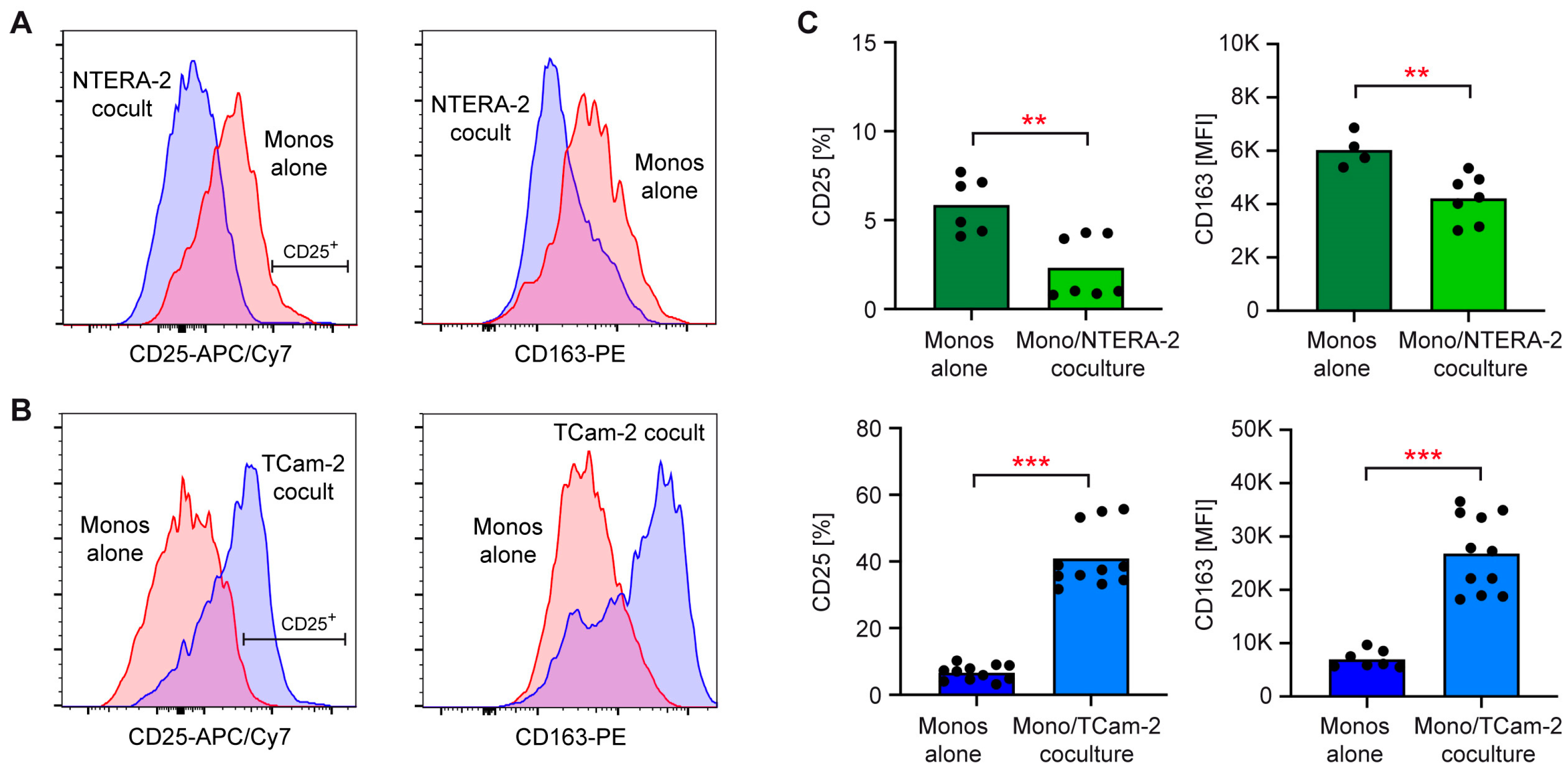 Cancers 15 02619 g002