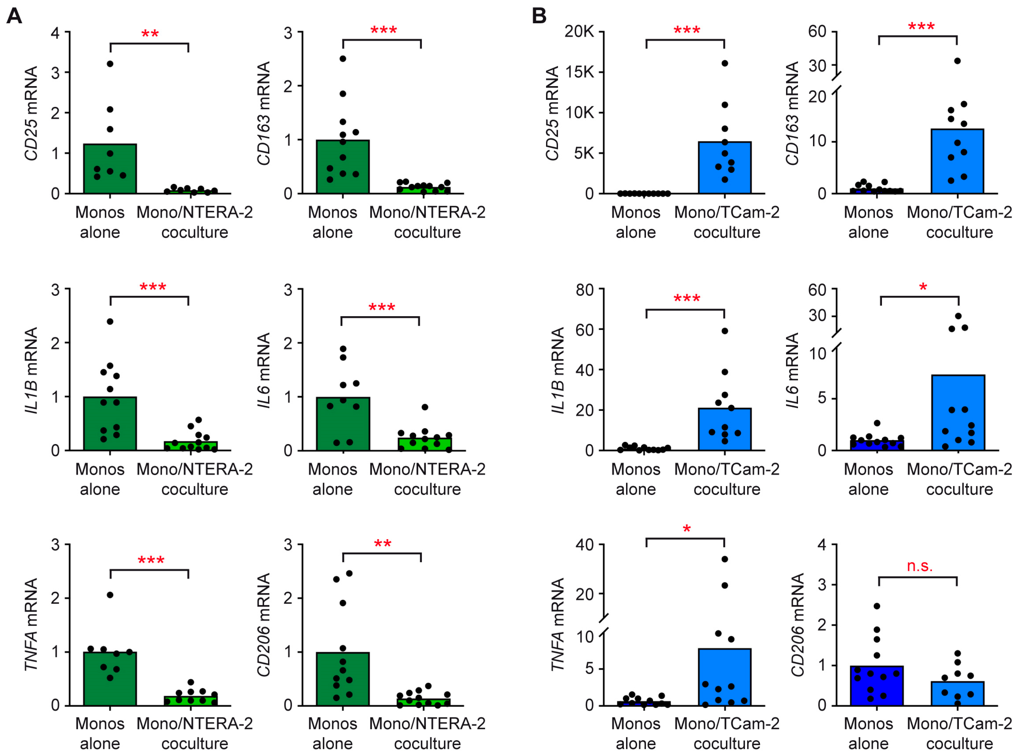 Cancers 15 02619 g005