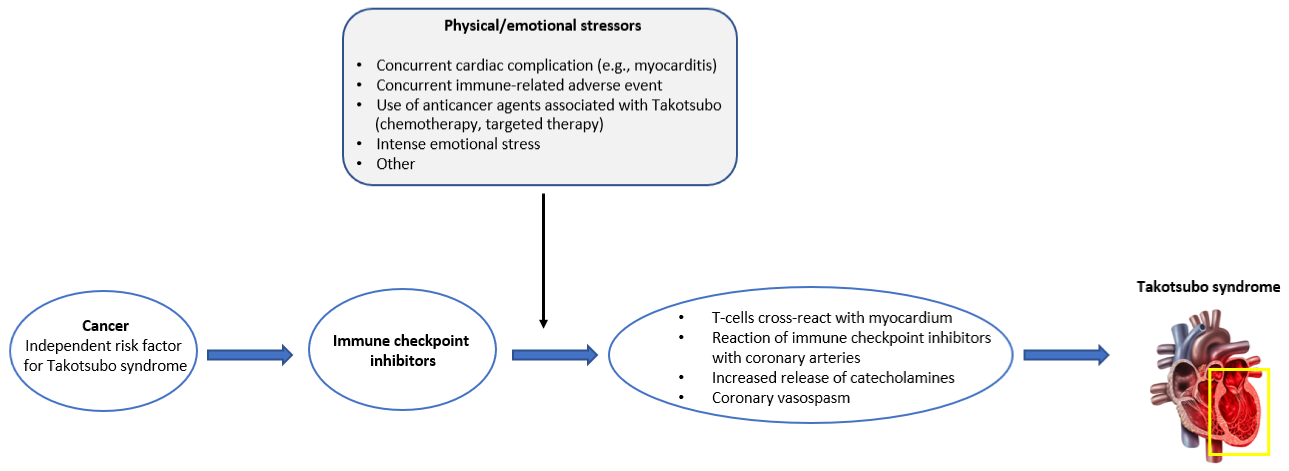 Cancers 15 02637 g002