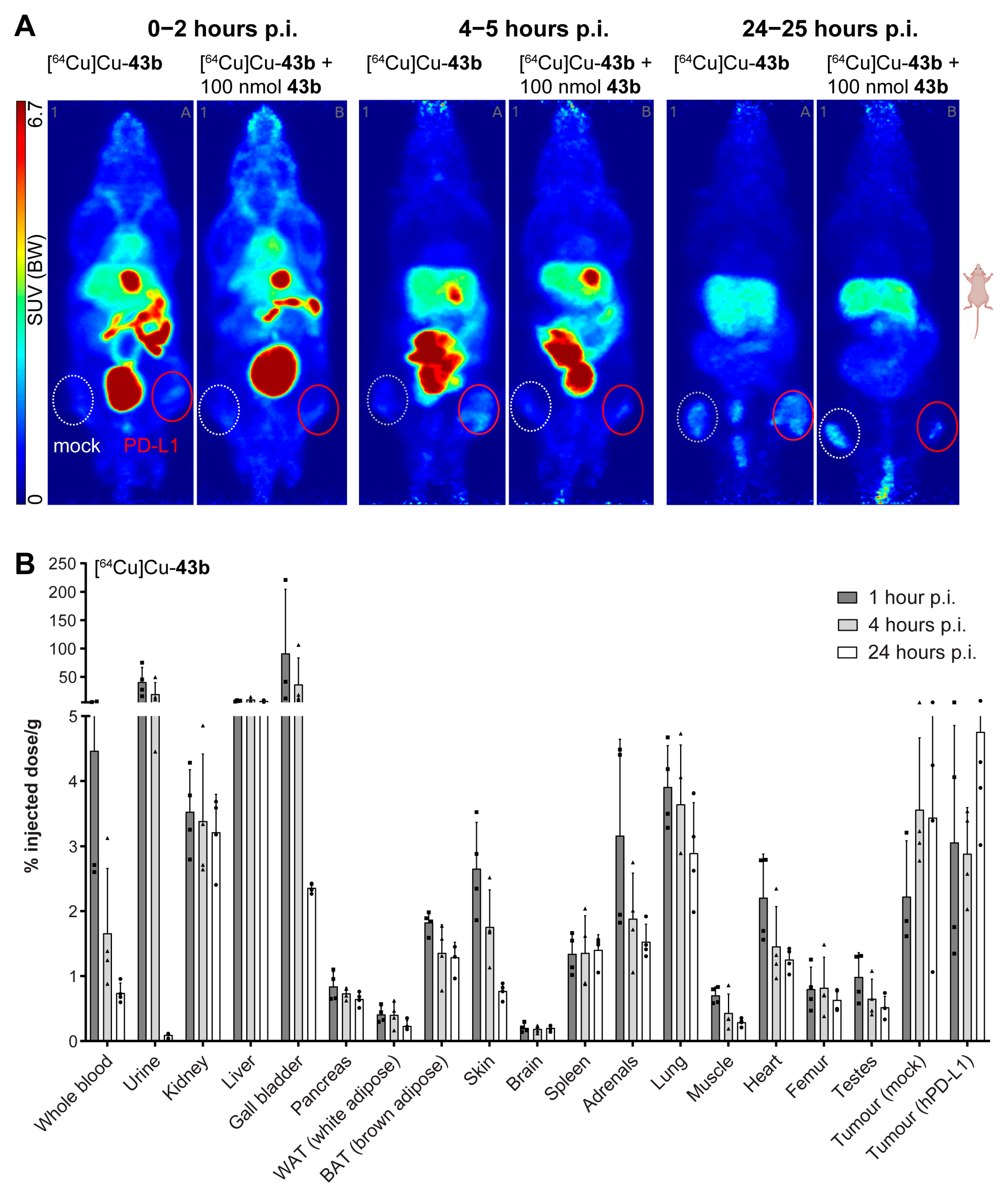 Cancers 15 02638 g006 Cancers 15 02638 g006