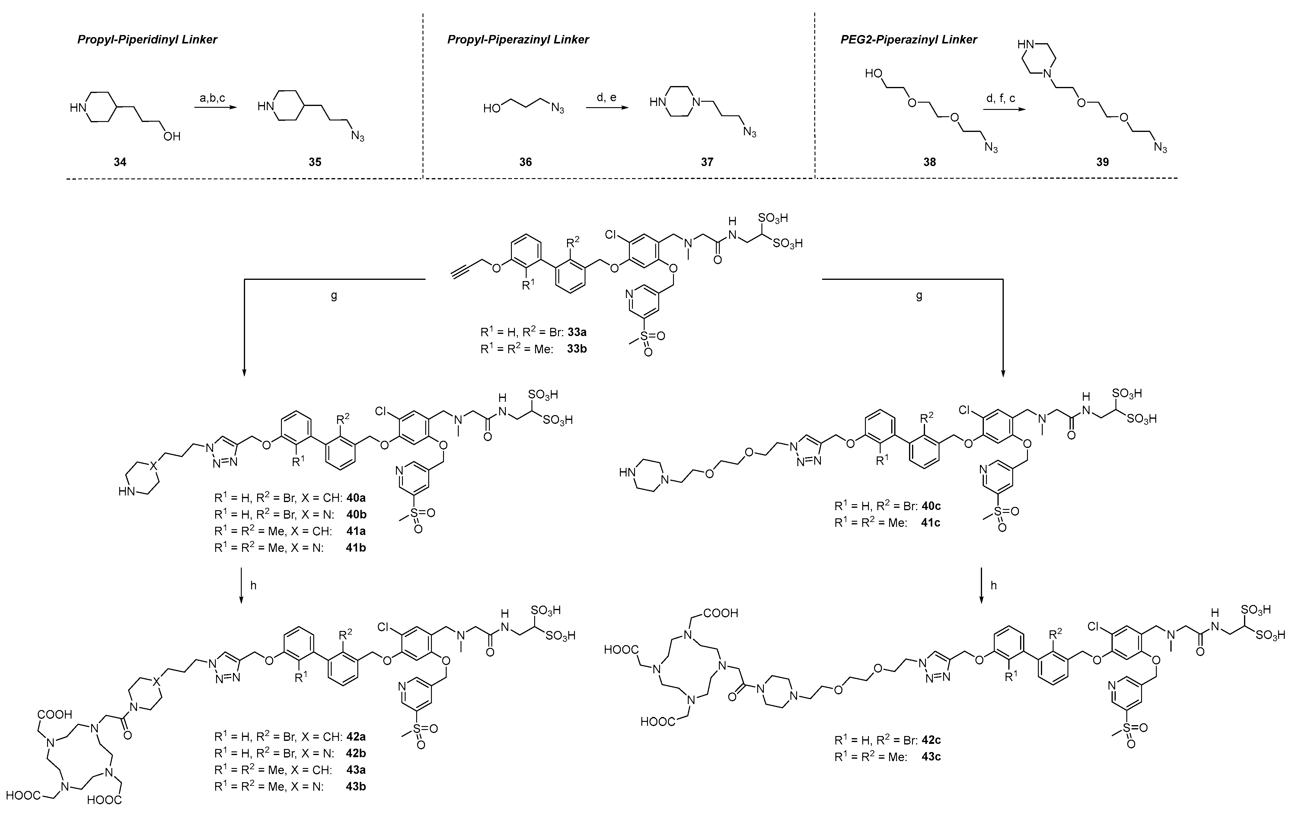 Cancers 15 02638 sch004 Cancers 15 02638 sch004