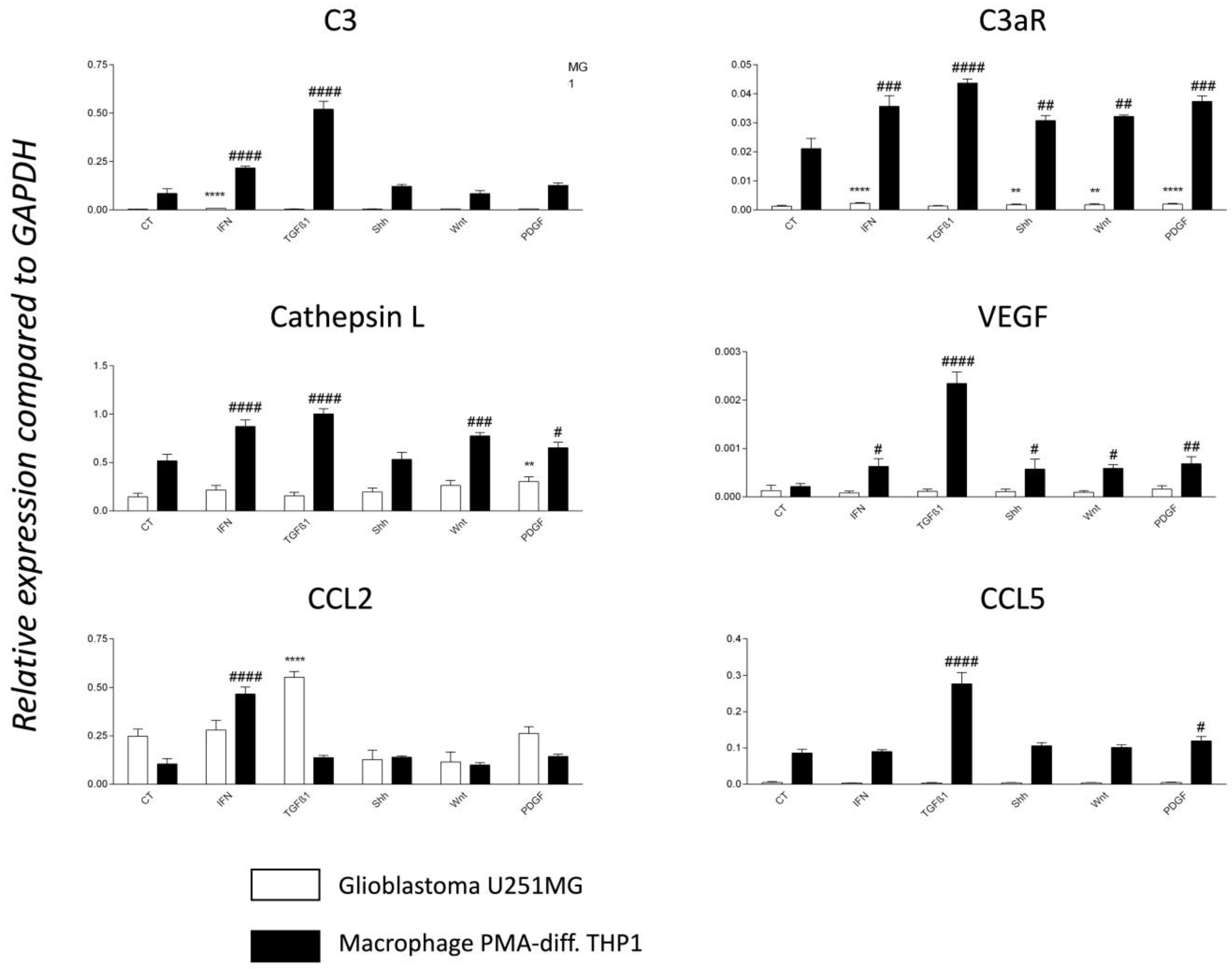 Cancers 15 02647 g007