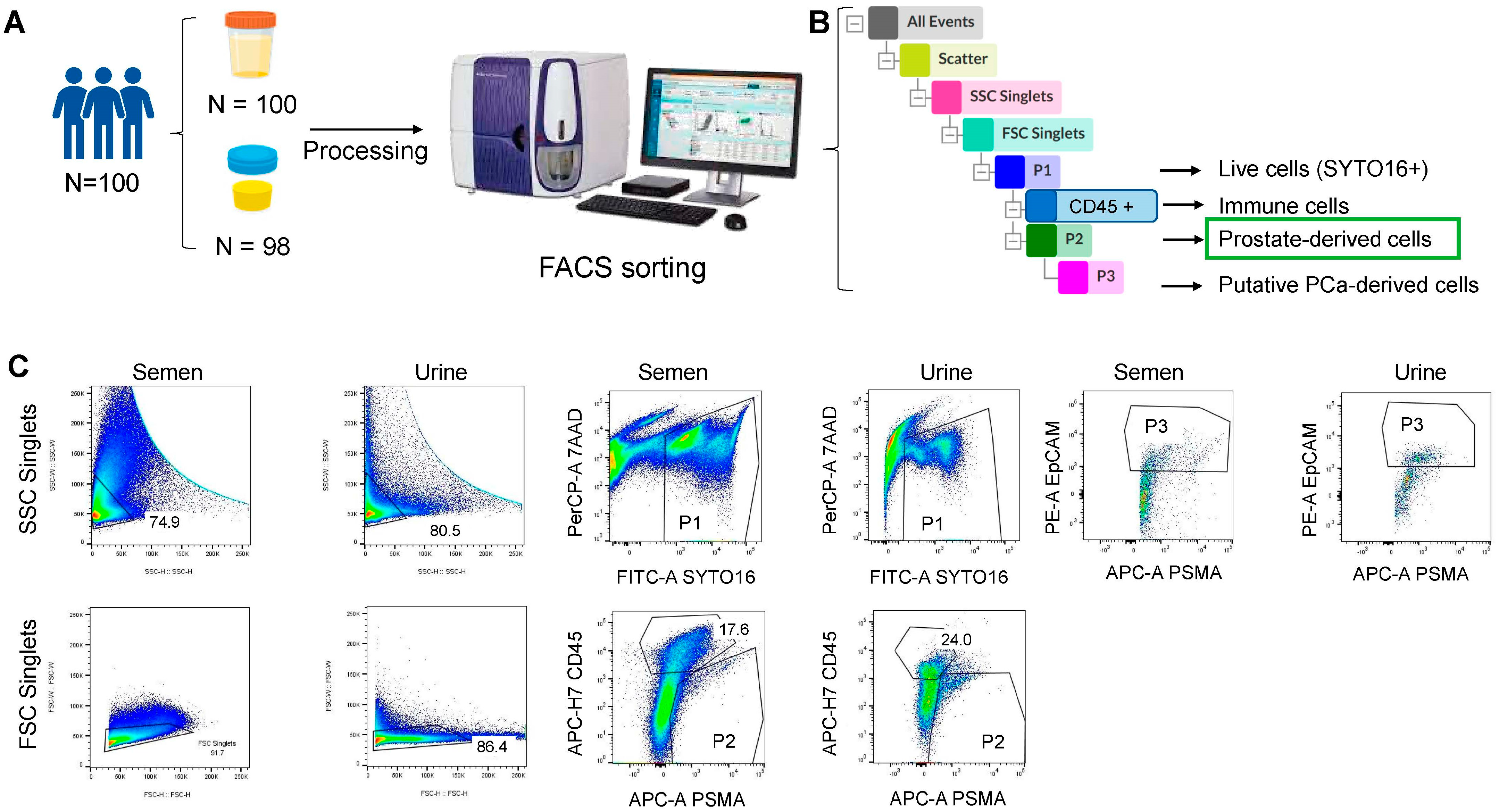 Cancers 15 02666 g003