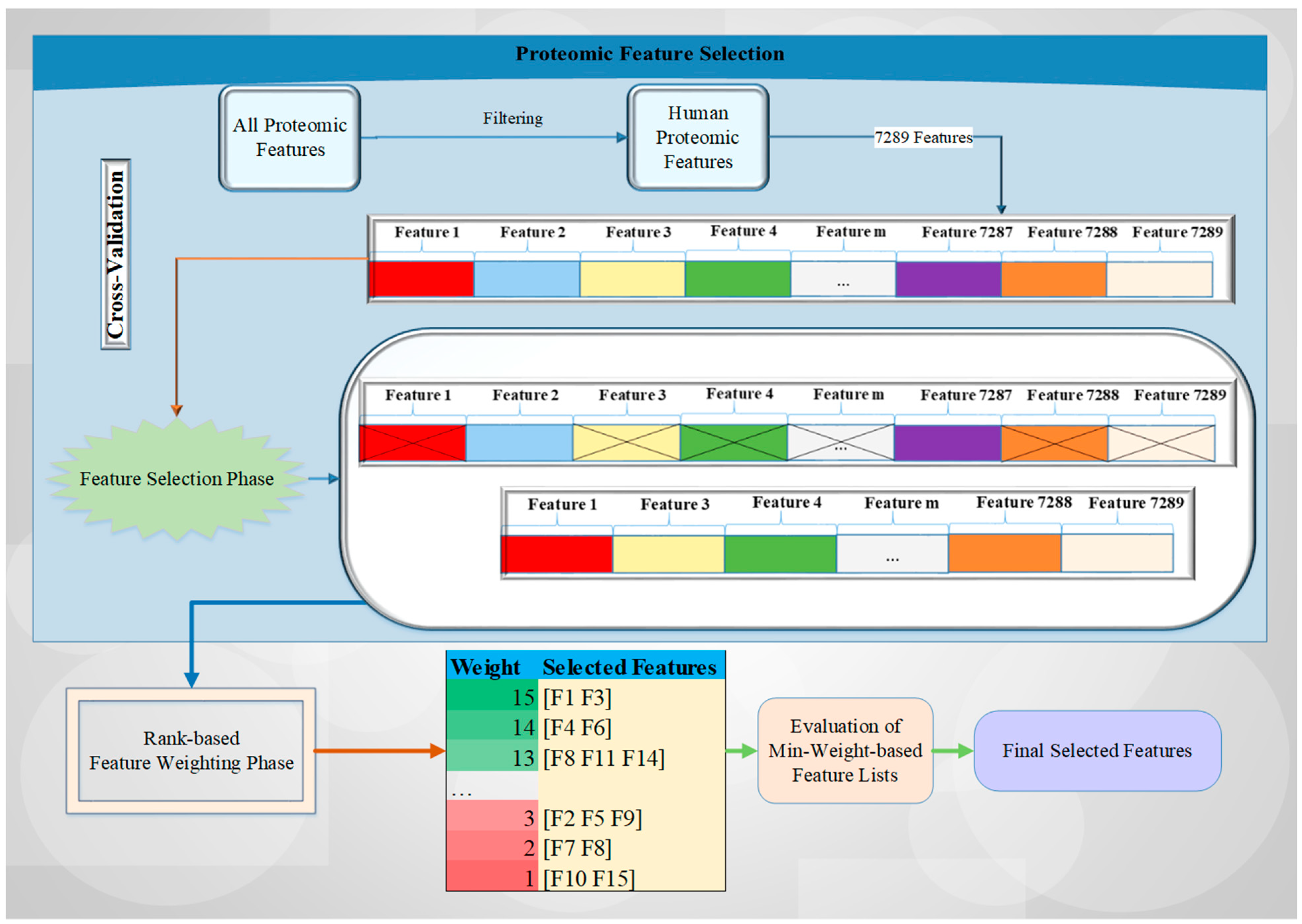 Cancers 15 02672 g001