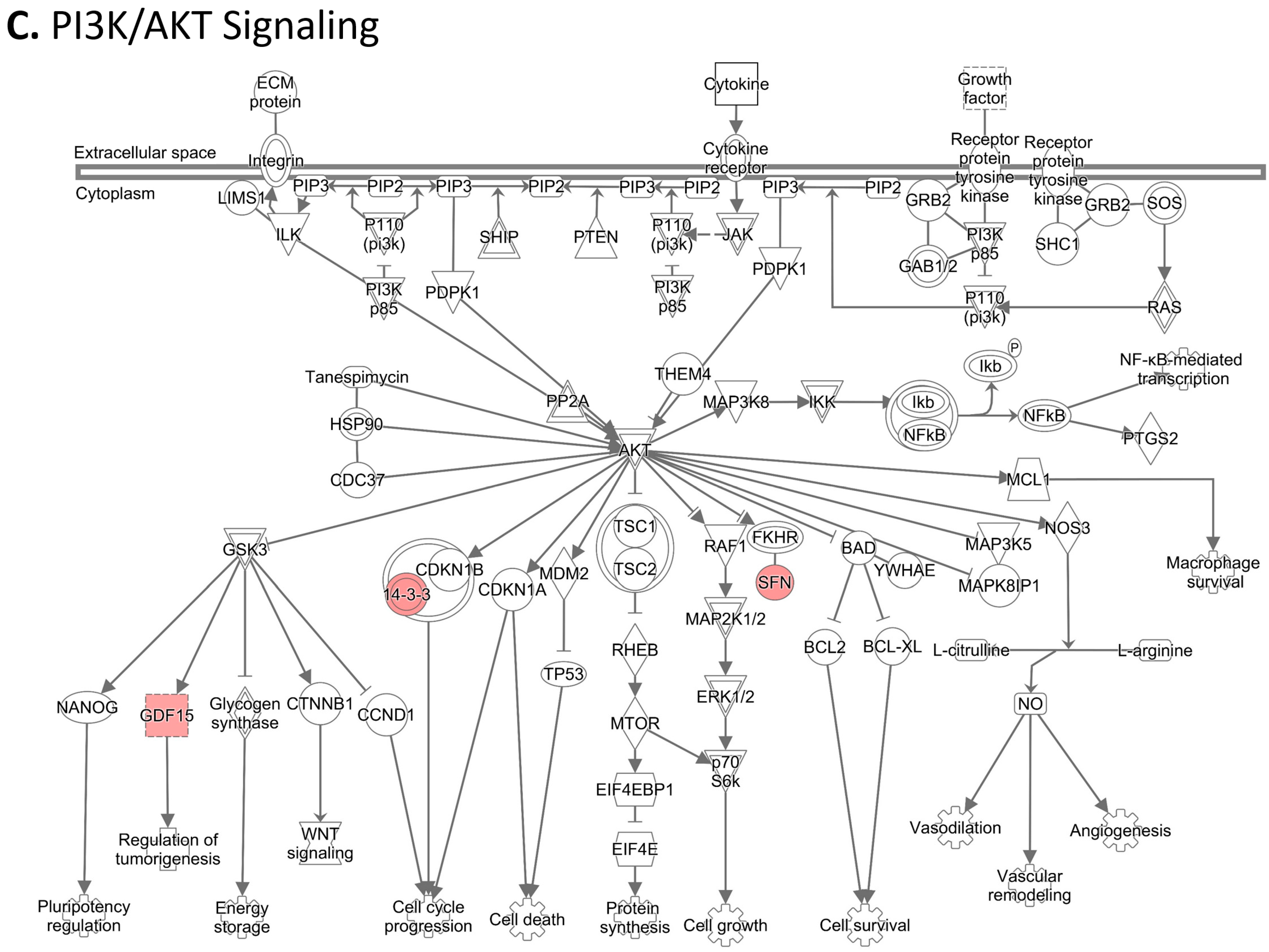 Cancers 15 02672 g006c
