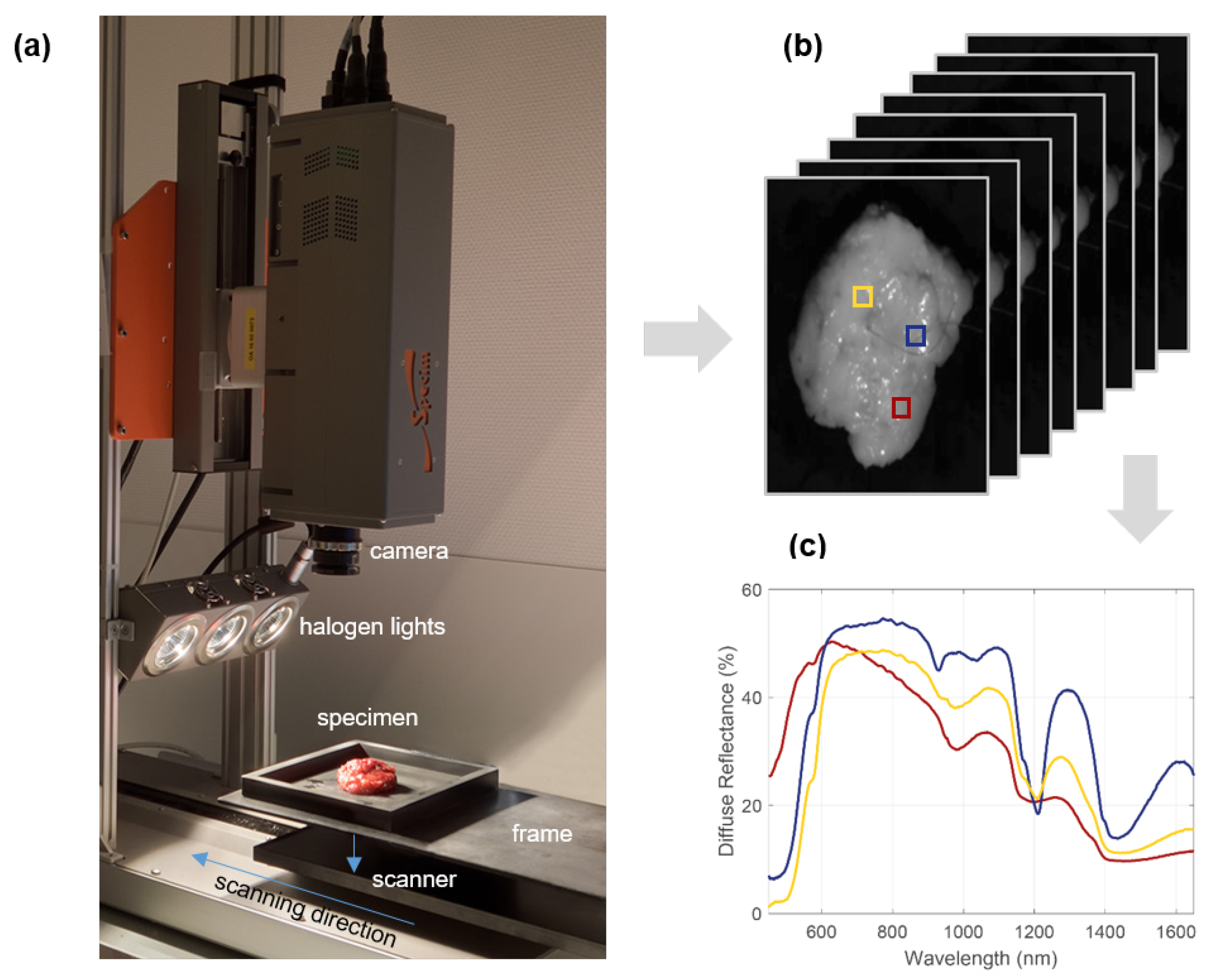 Cancers 15 02679 g001
