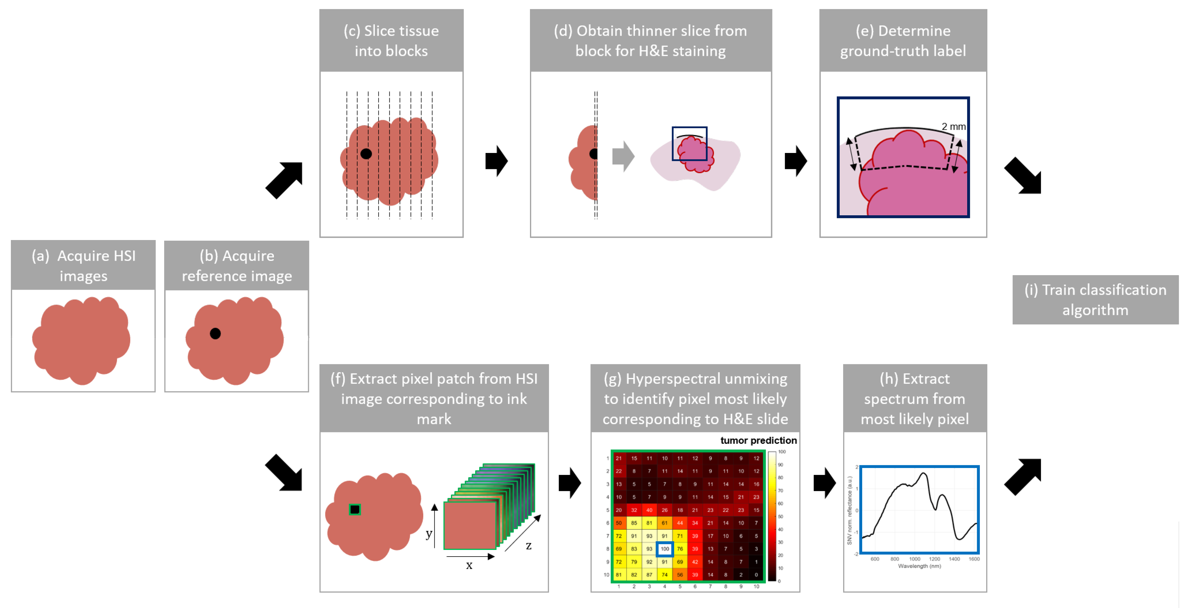 Cancers 15 02679 g002