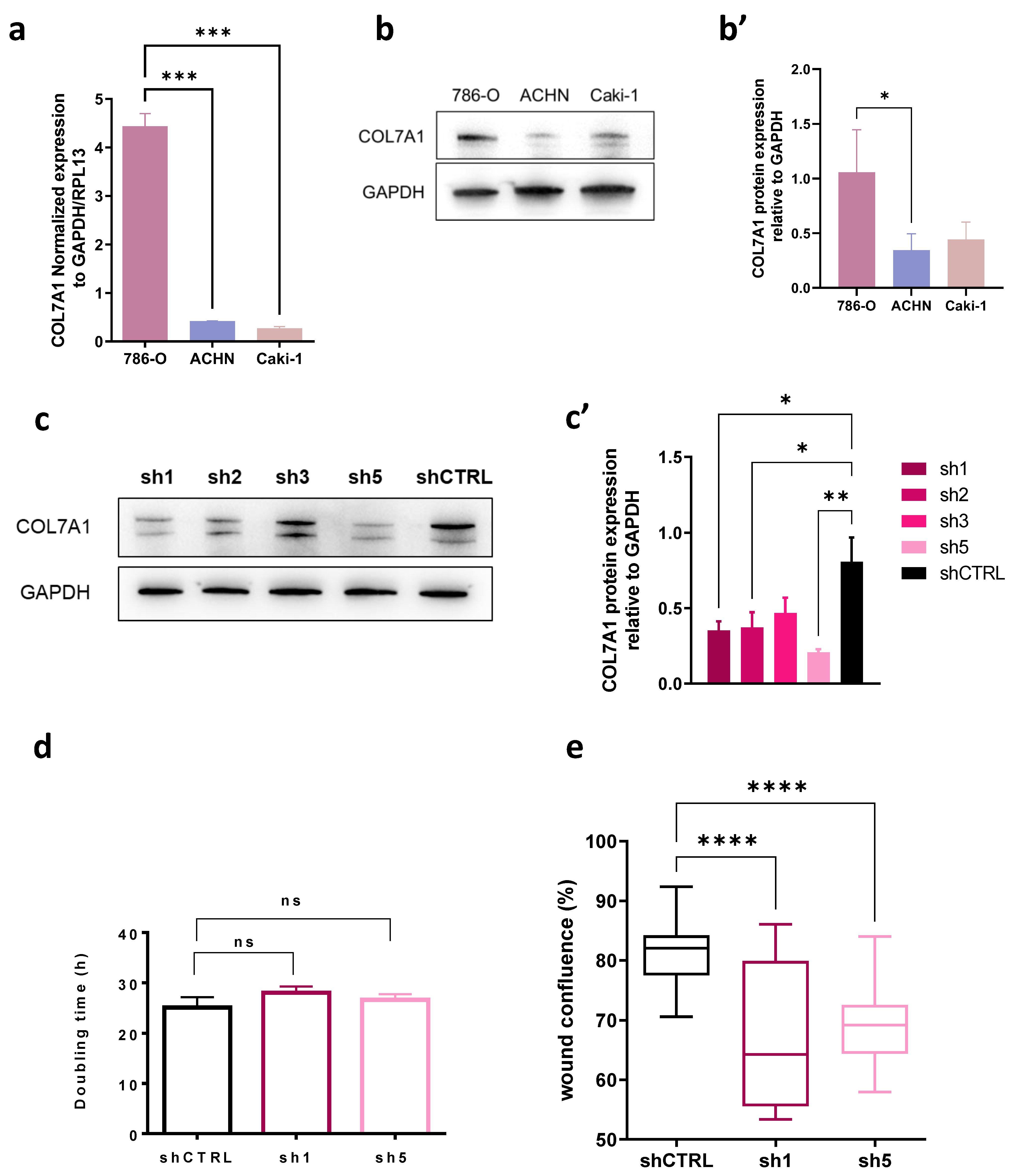 Cancers 15 02701 g004