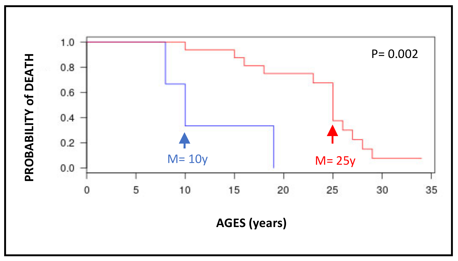 Cancers 15 02706 g004