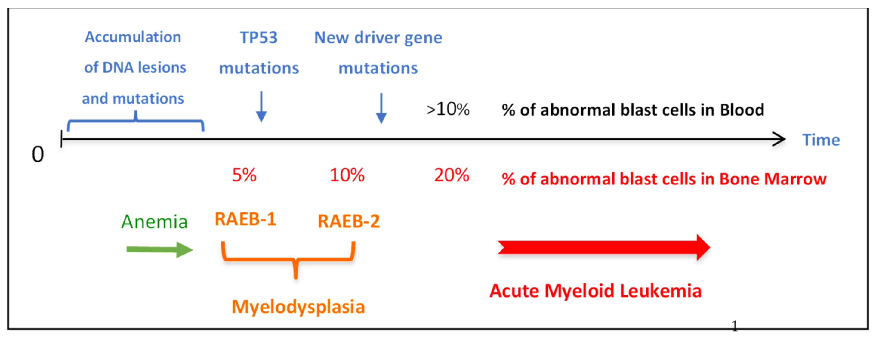 Cancers 15 02706 g006