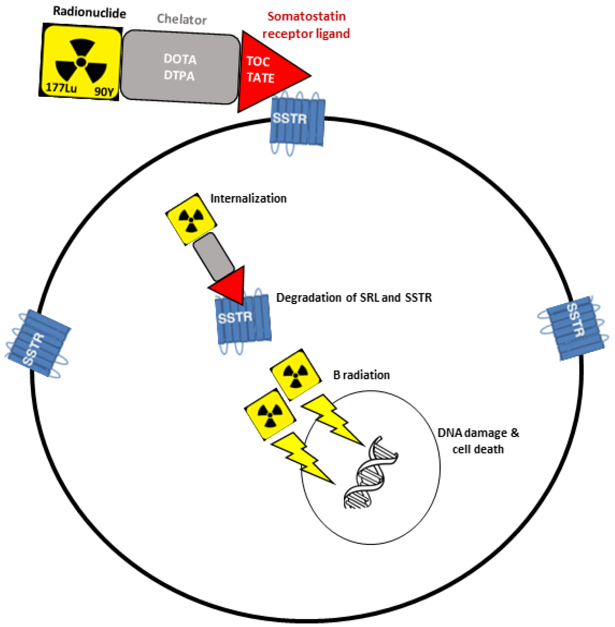 Cancers 15 02710 g001