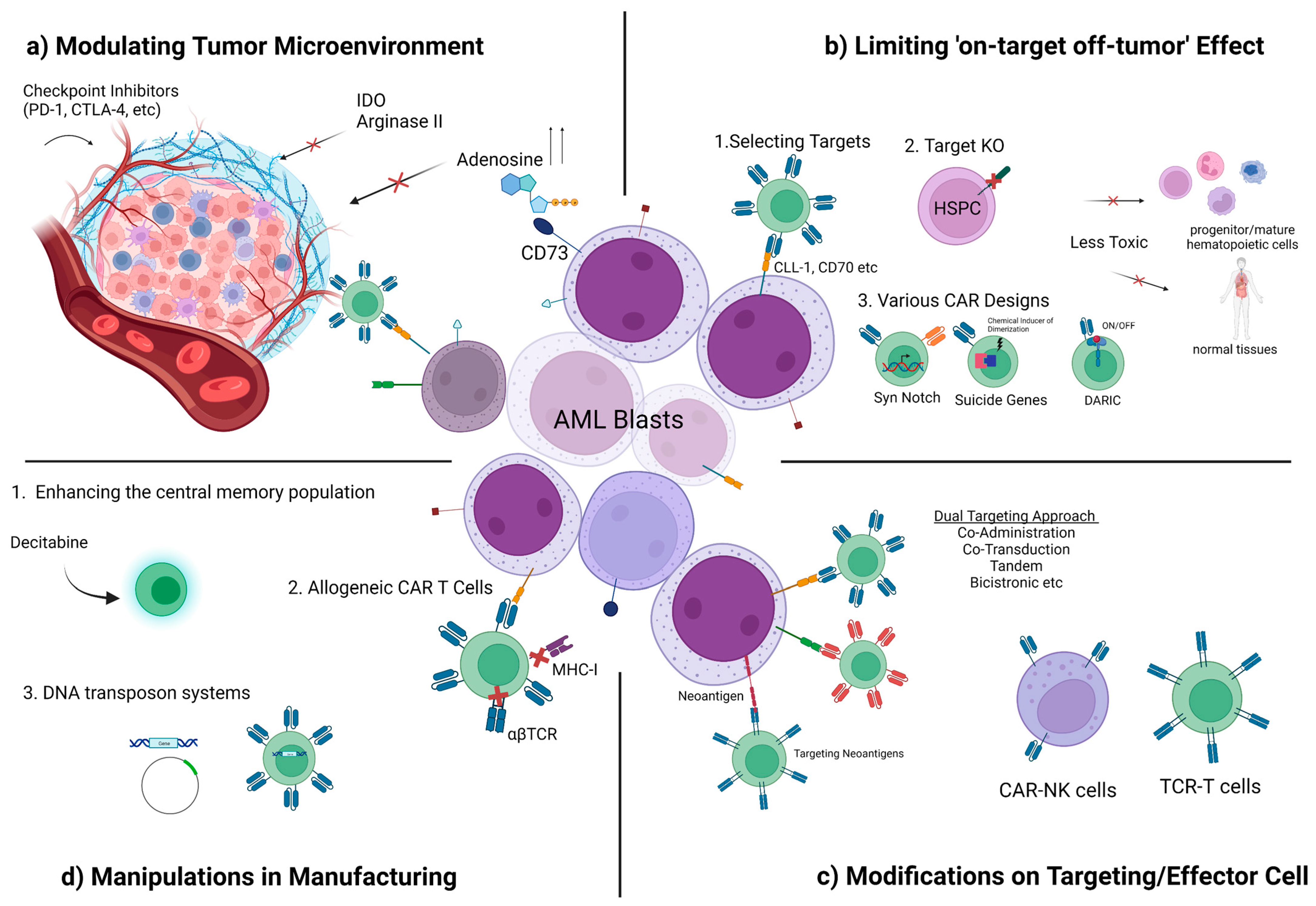 Cancers 15 02713 g001 Cancers 15 02713 g001
