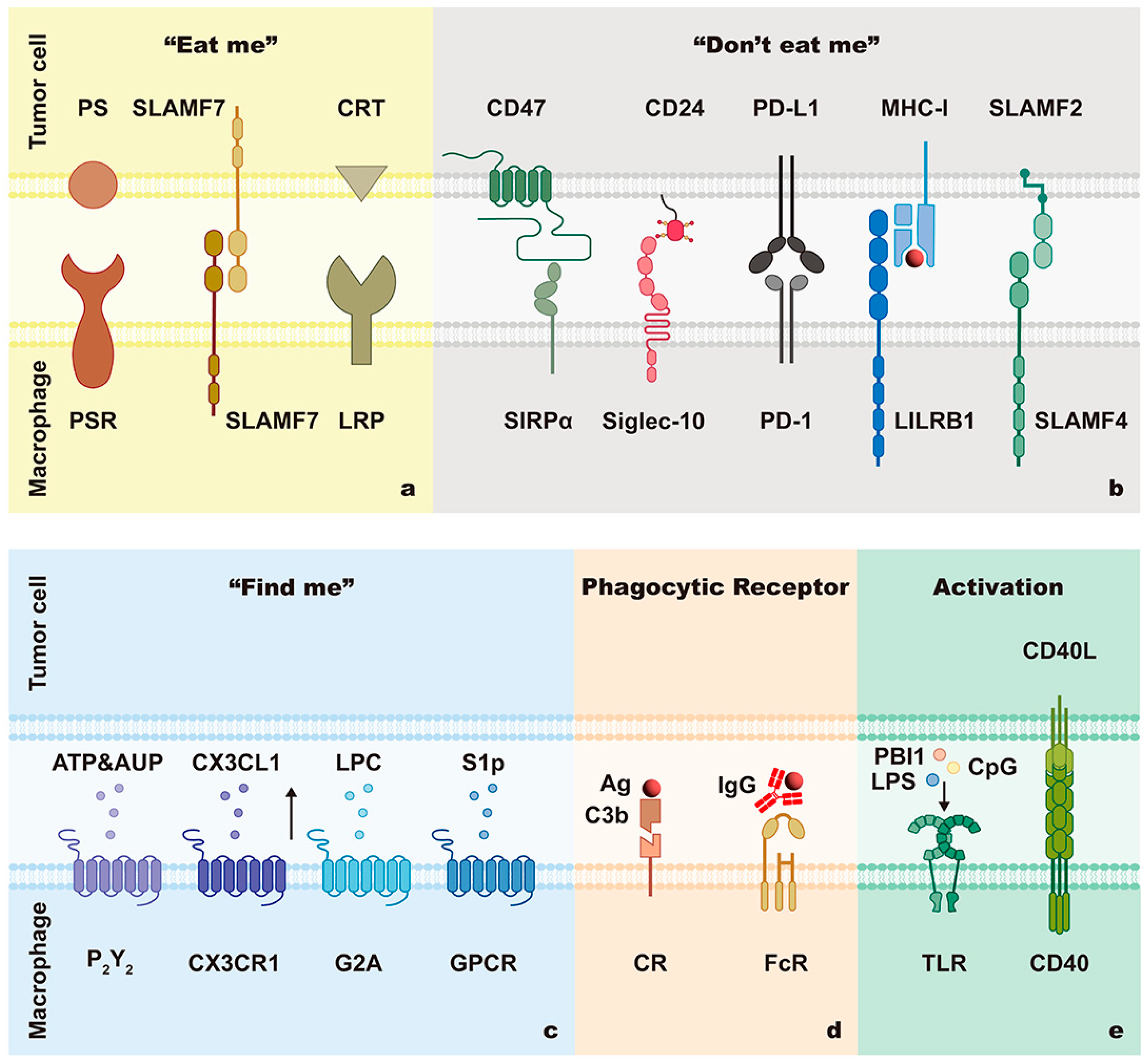 Cancers 15 02717 g002 Cancers 15 02717 g002