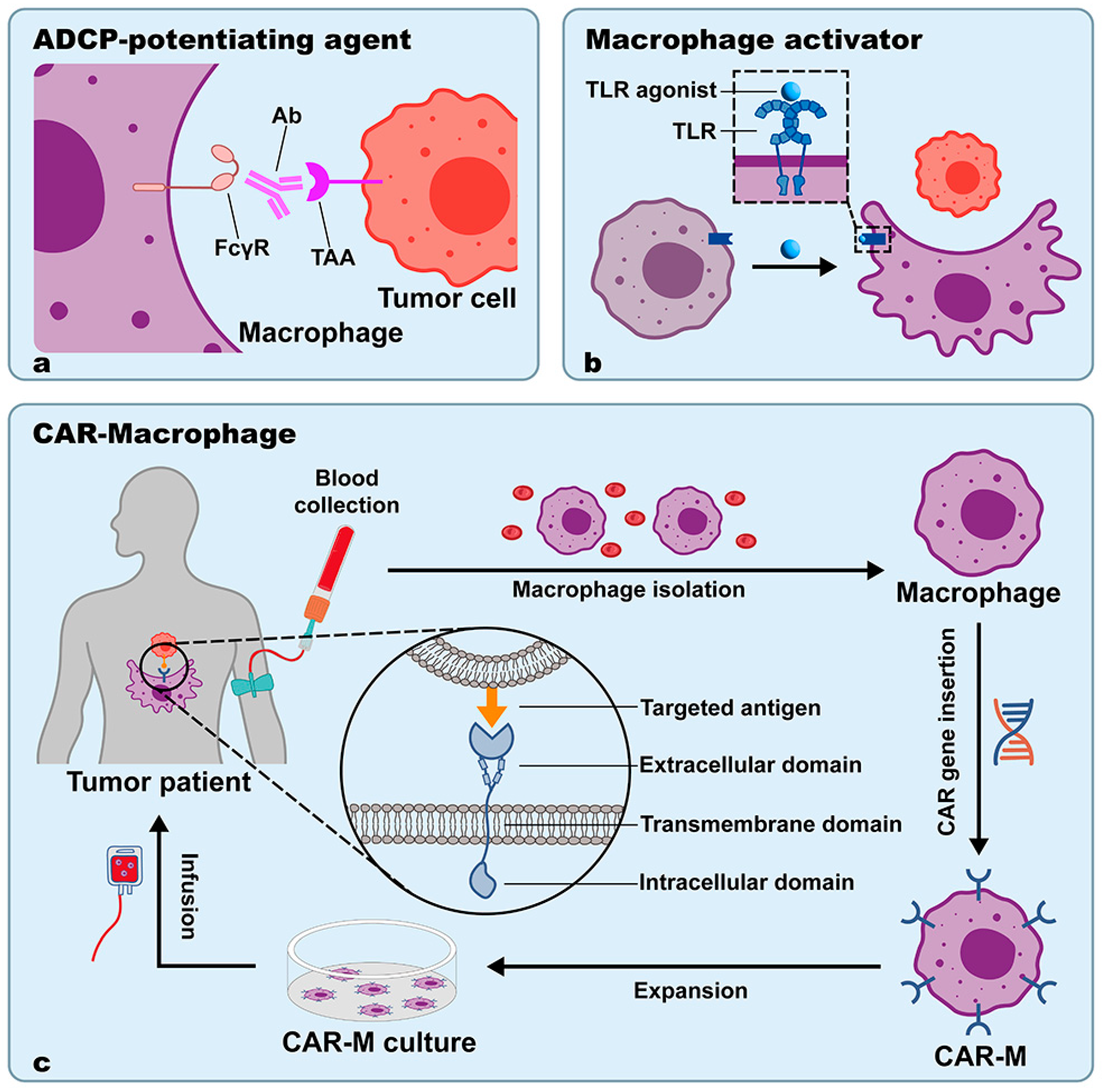 Cancers 15 02717 g004 Cancers 15 02717 g004