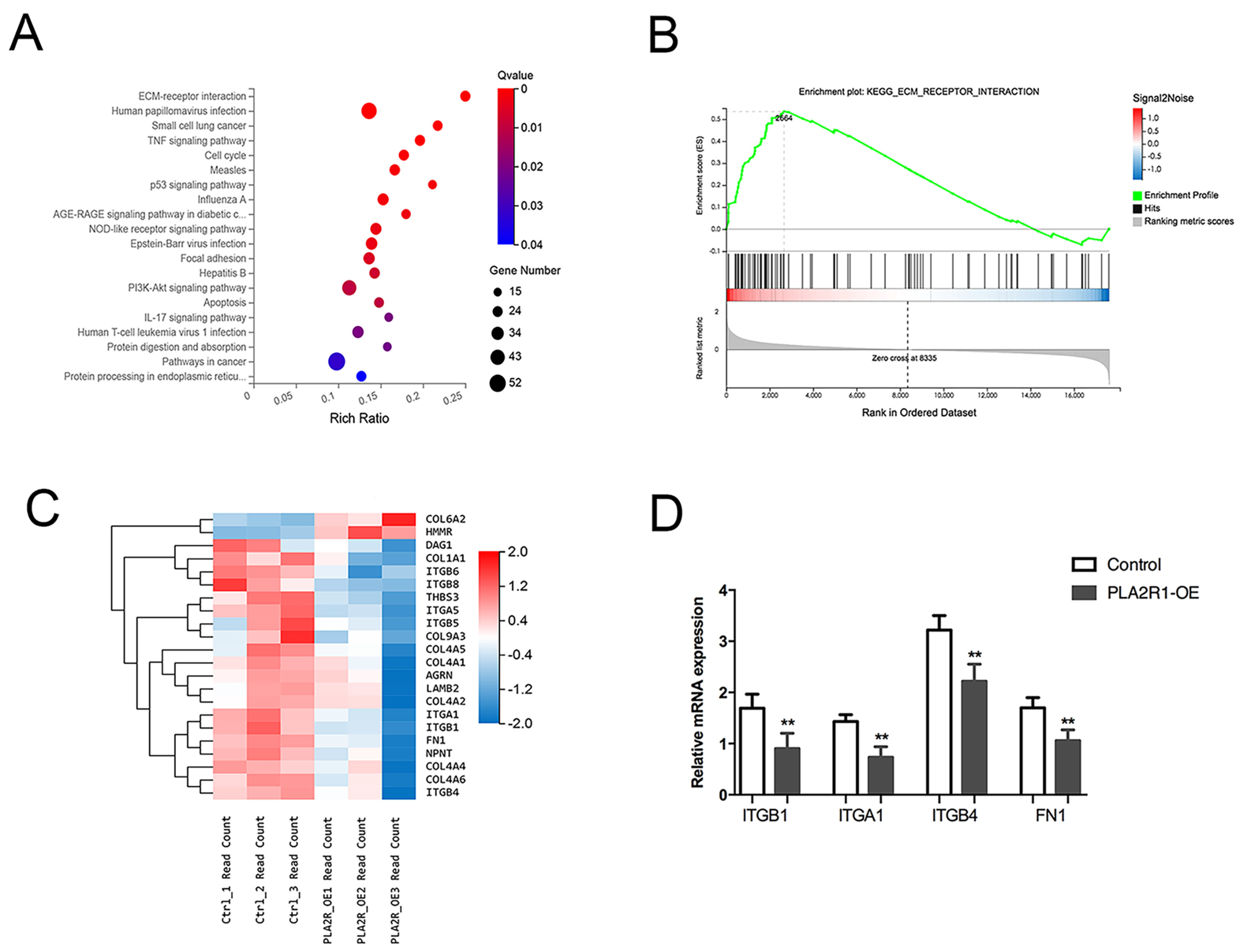 Cancers 15 02720 g004 Cancers 15 02720 g004