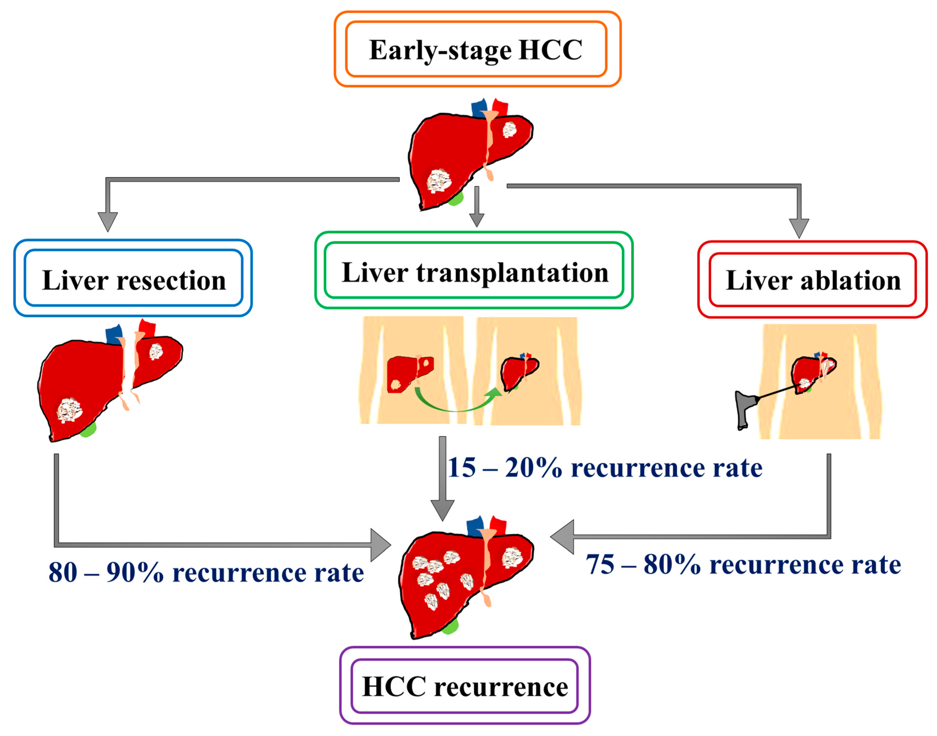Cancers 15 02729 g001