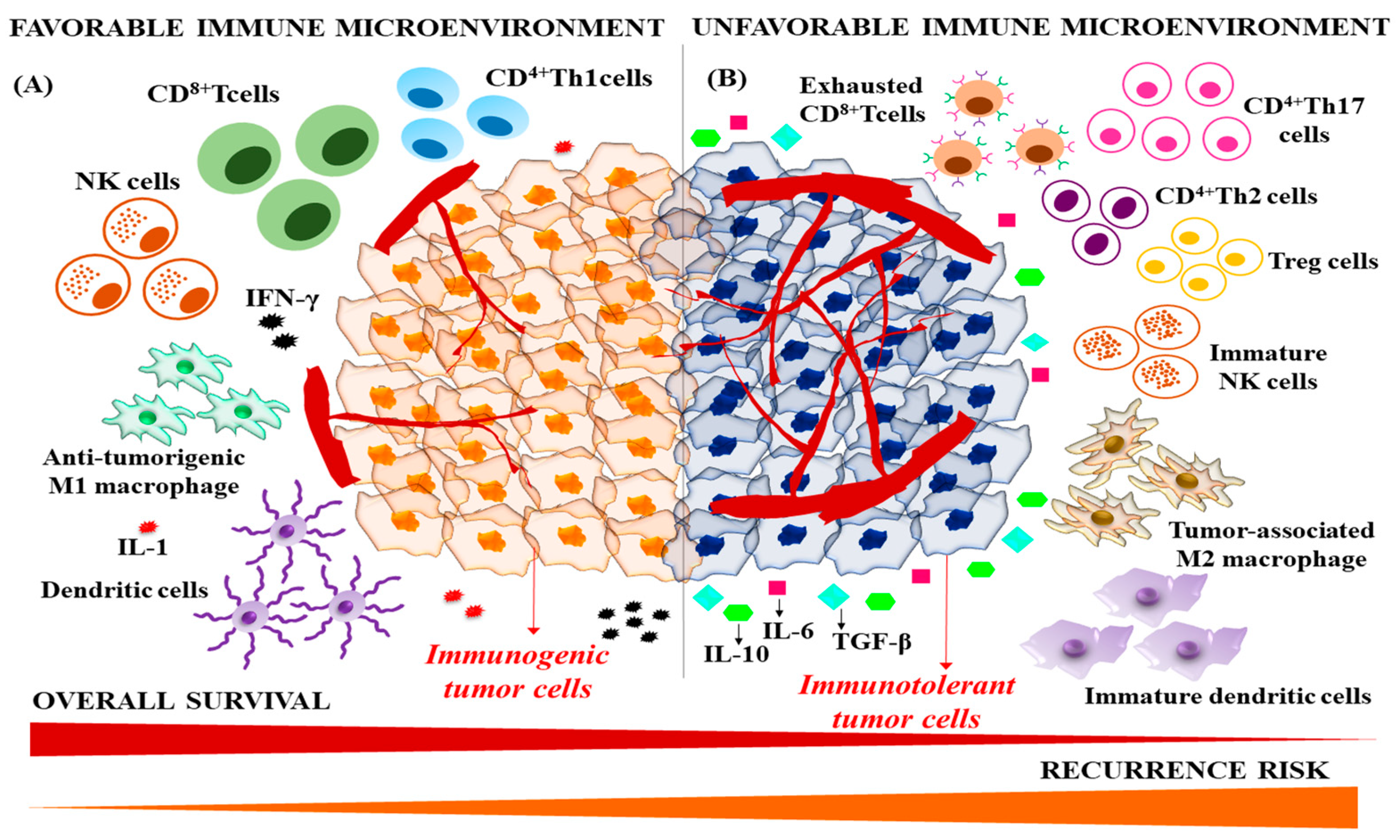 Cancers 15 02729 g002