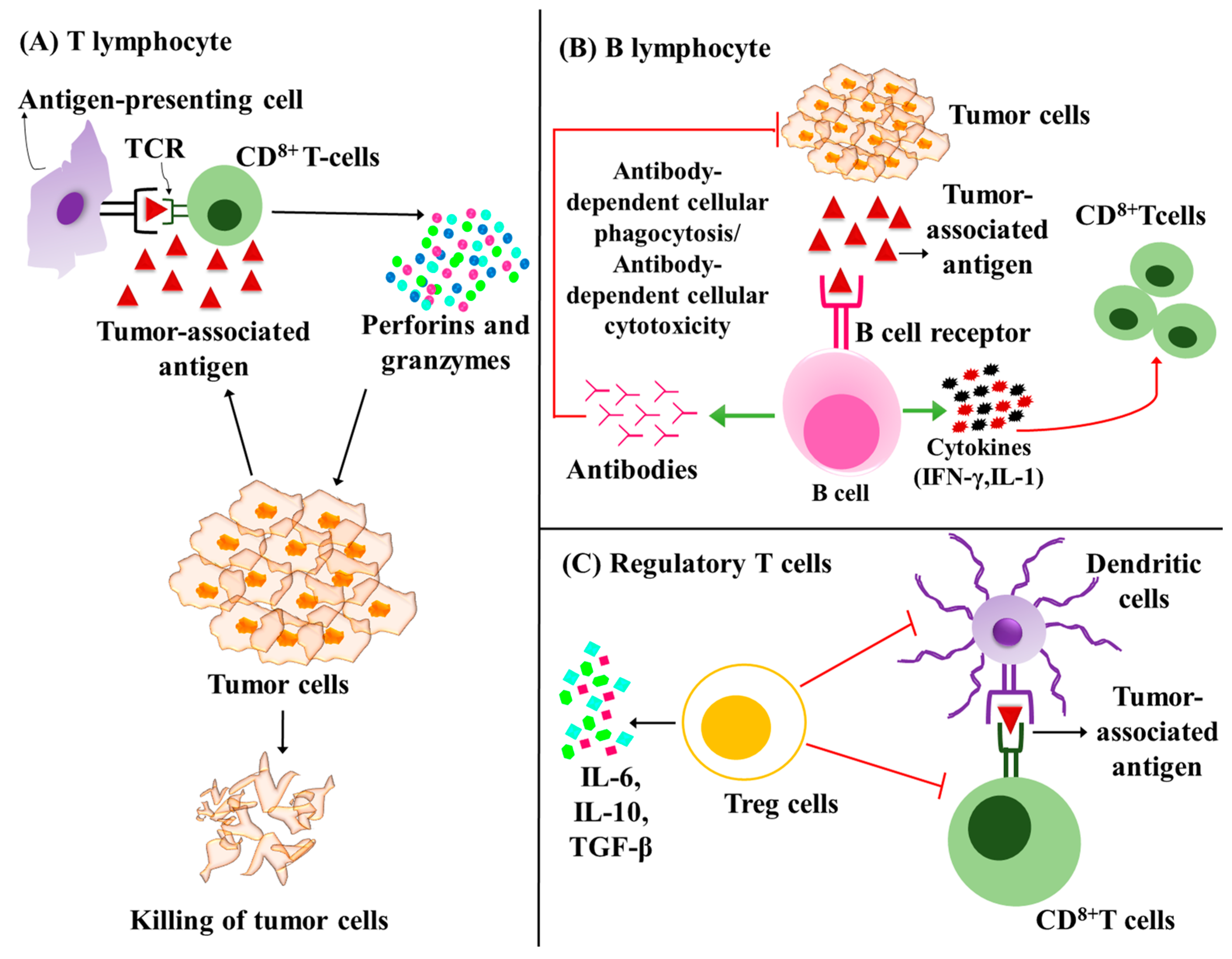 Cancers 15 02729 g003