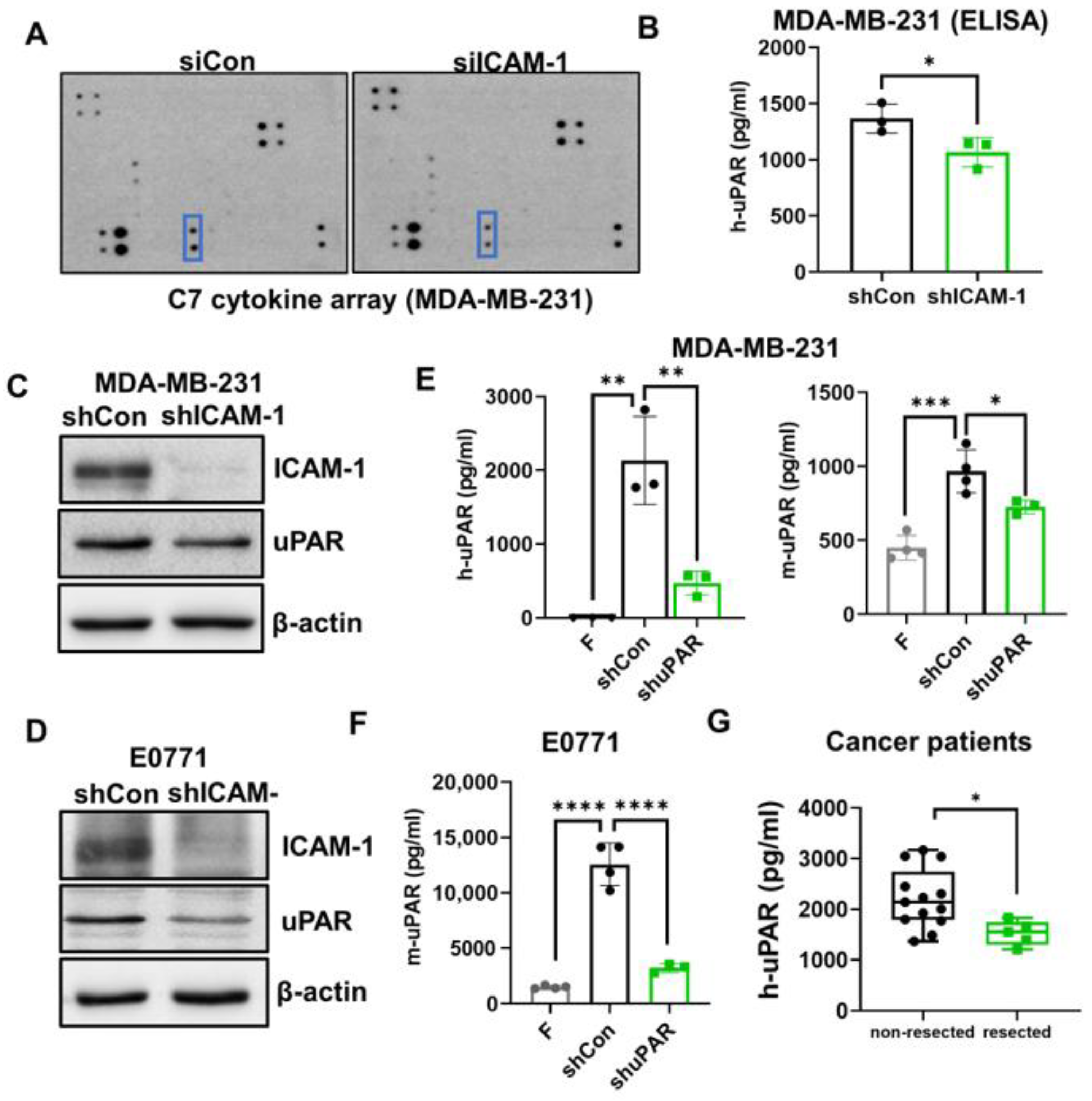 Cancers 15 02734 g003