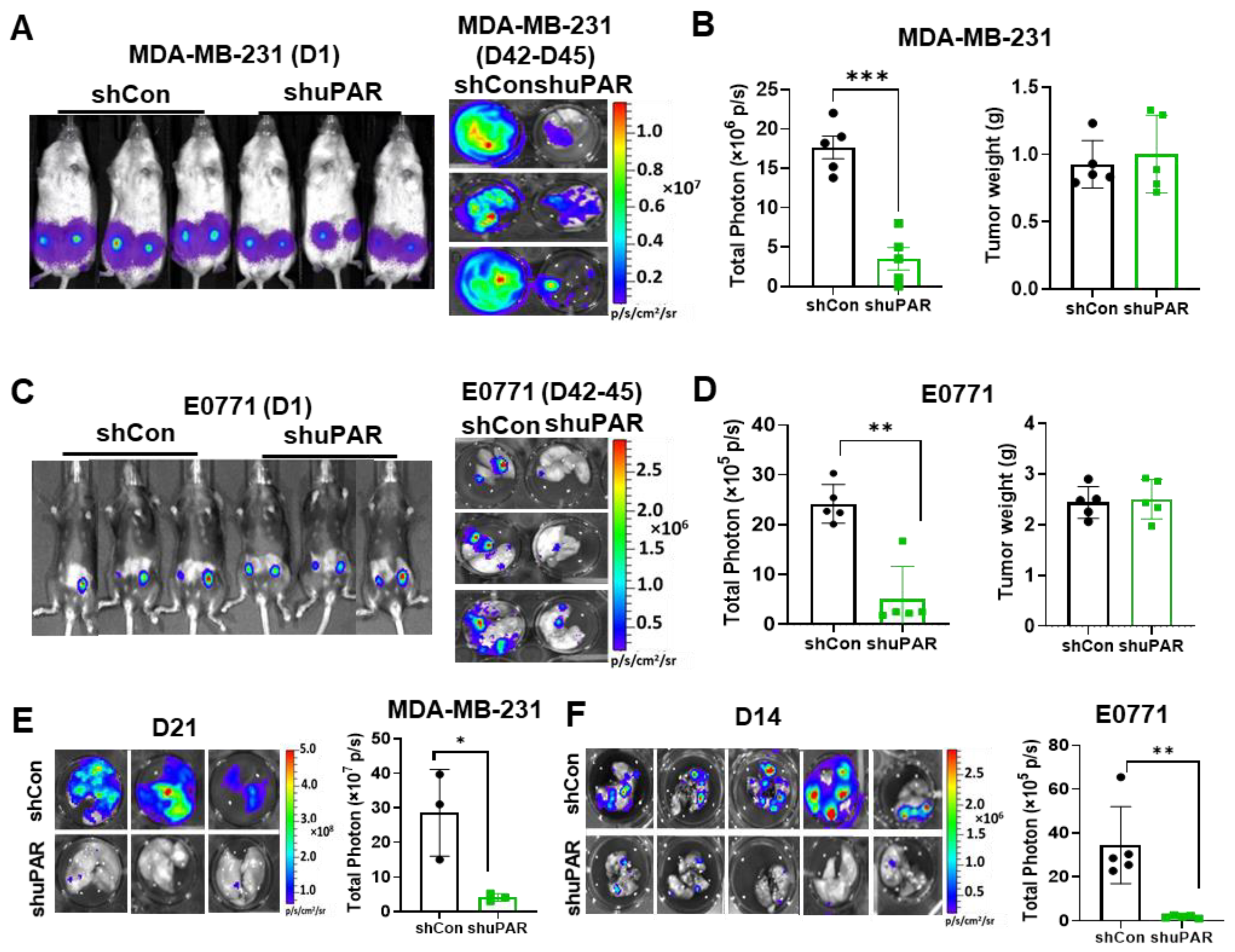 Cancers 15 02734 g005