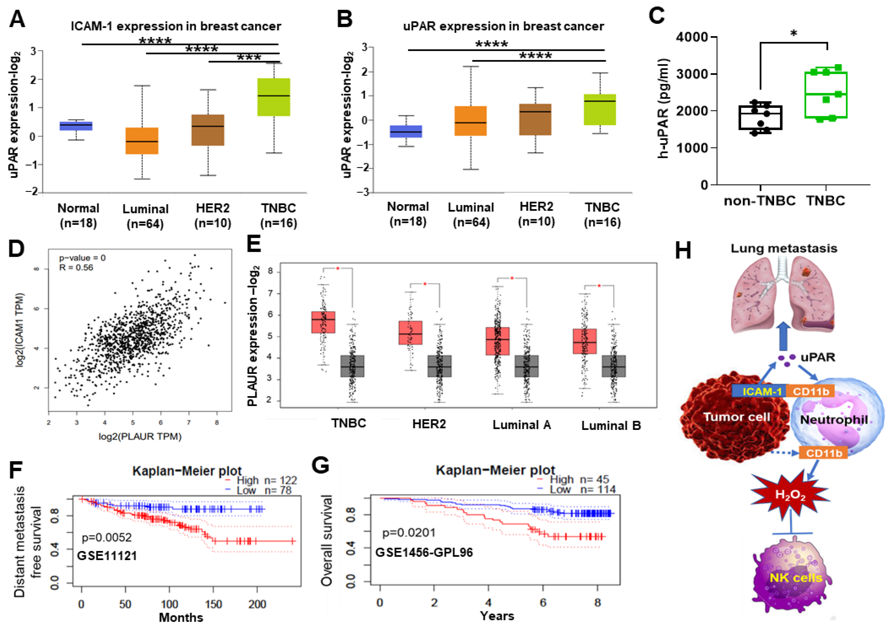 Cancers 15 02734 g006
