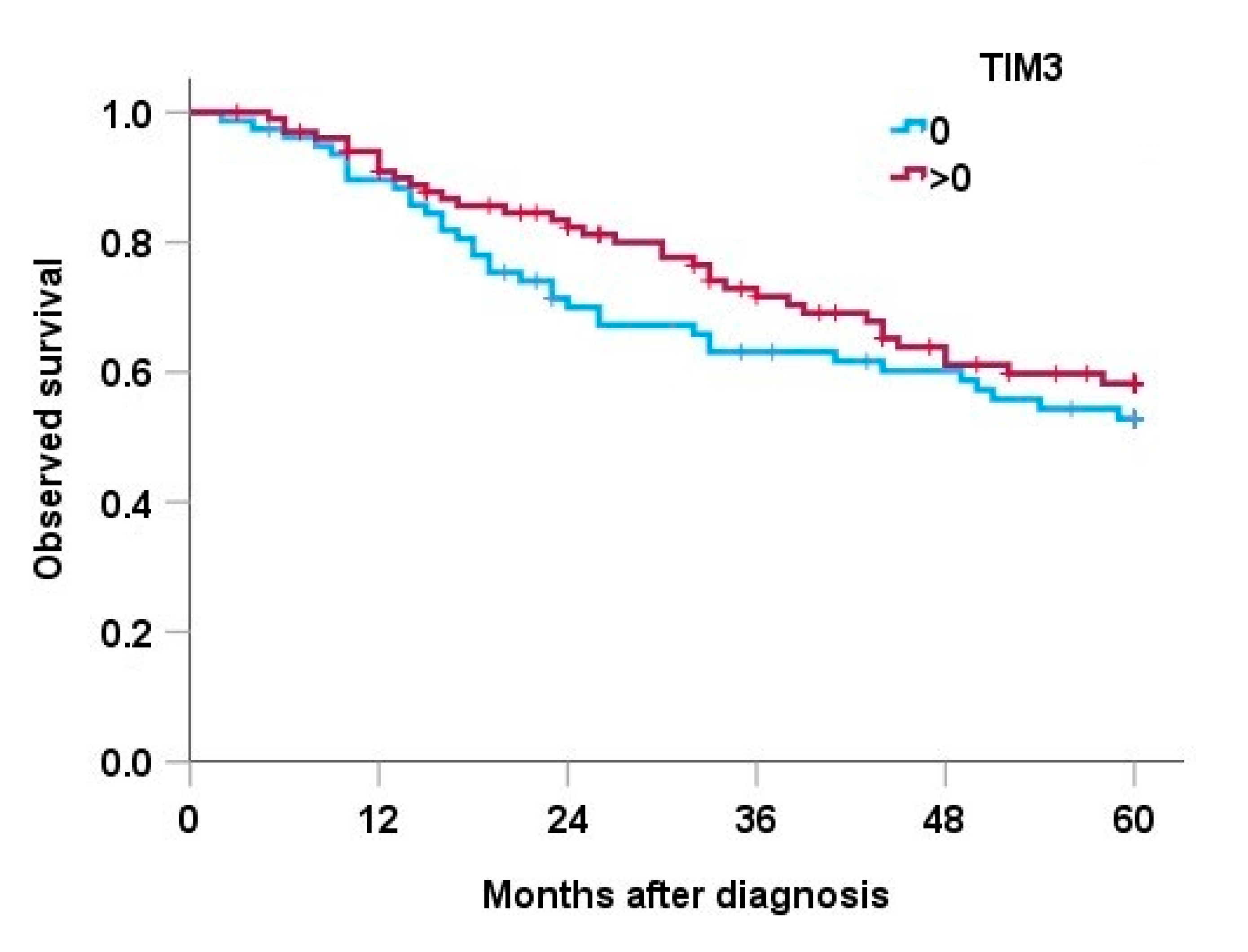 Cancers 15 02735 g002