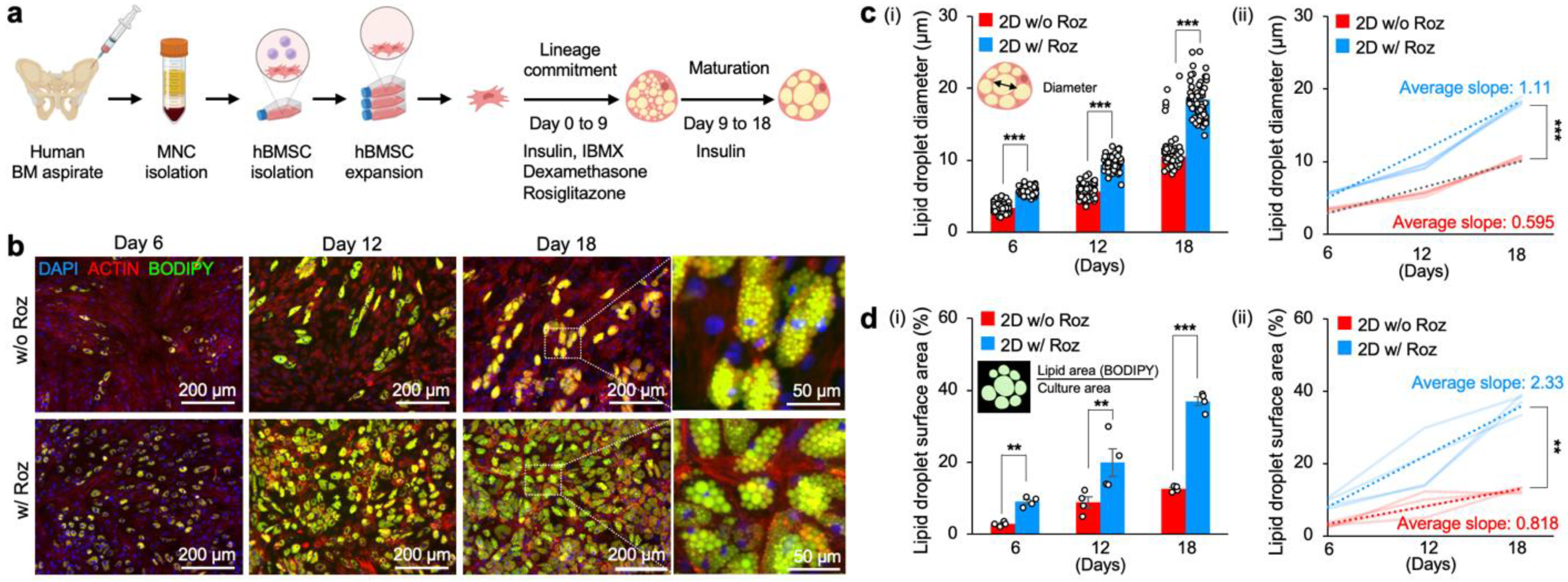 Cancers 15 02737 g001