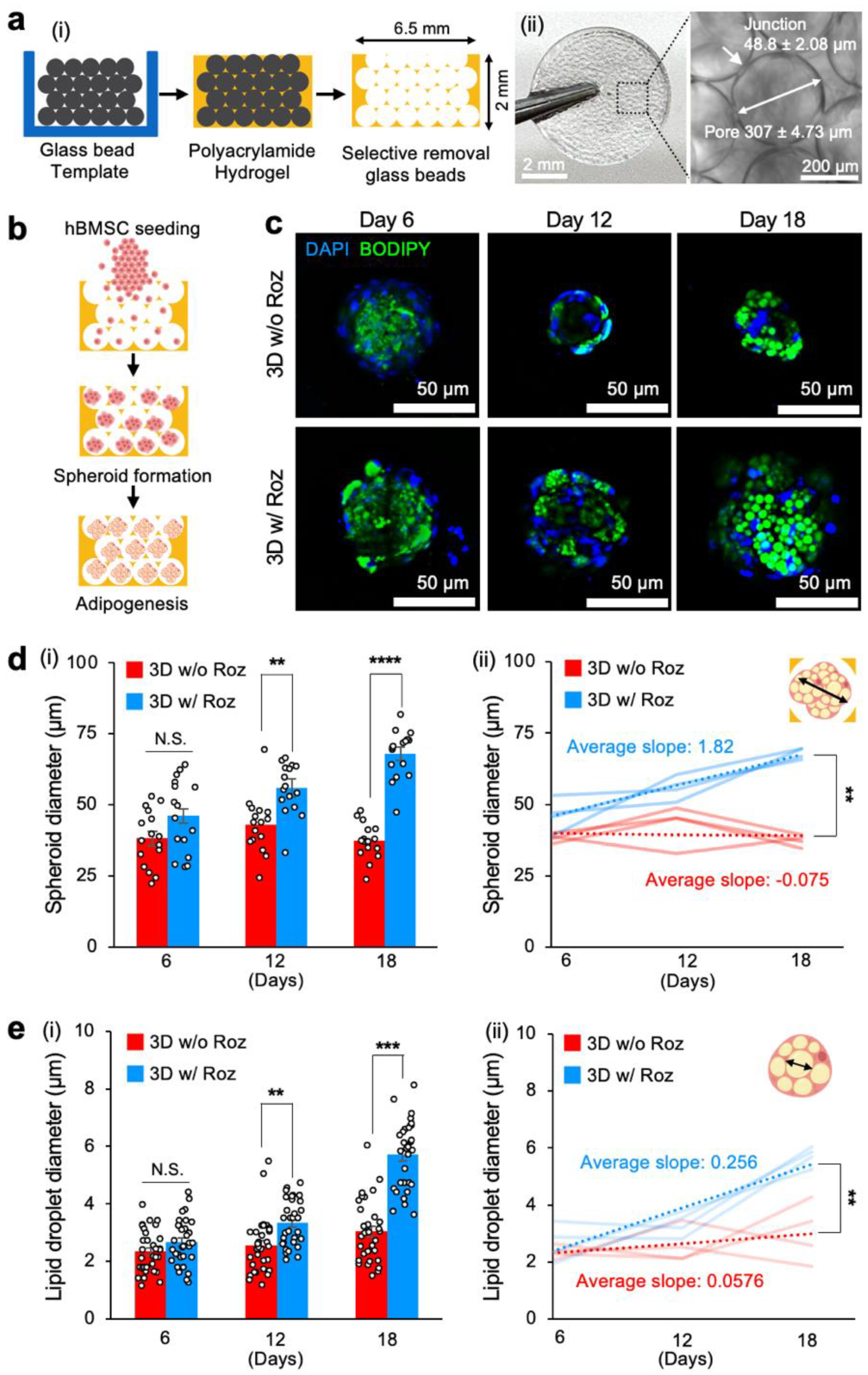 Cancers 15 02737 g002