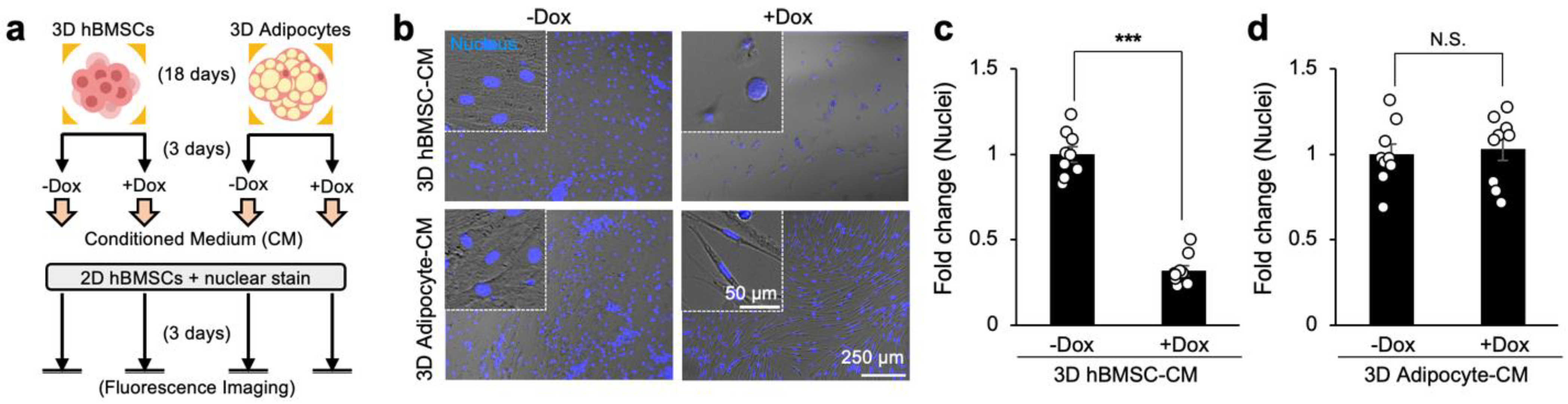Cancers 15 02737 g004