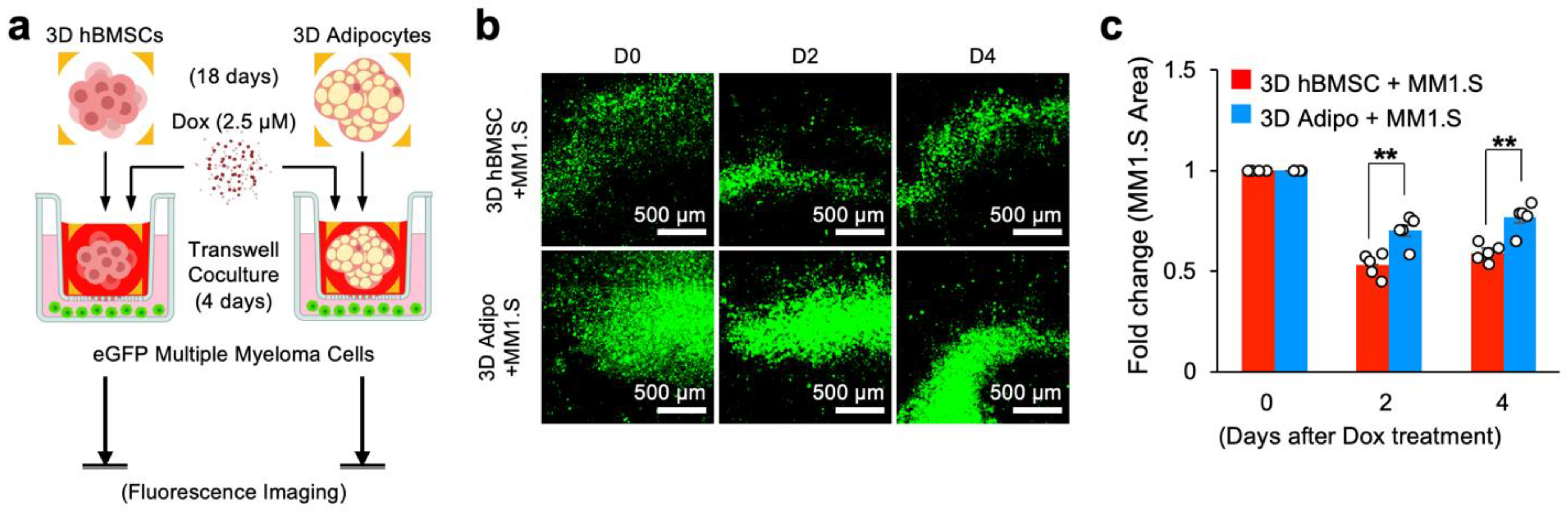 Cancers 15 02737 g005