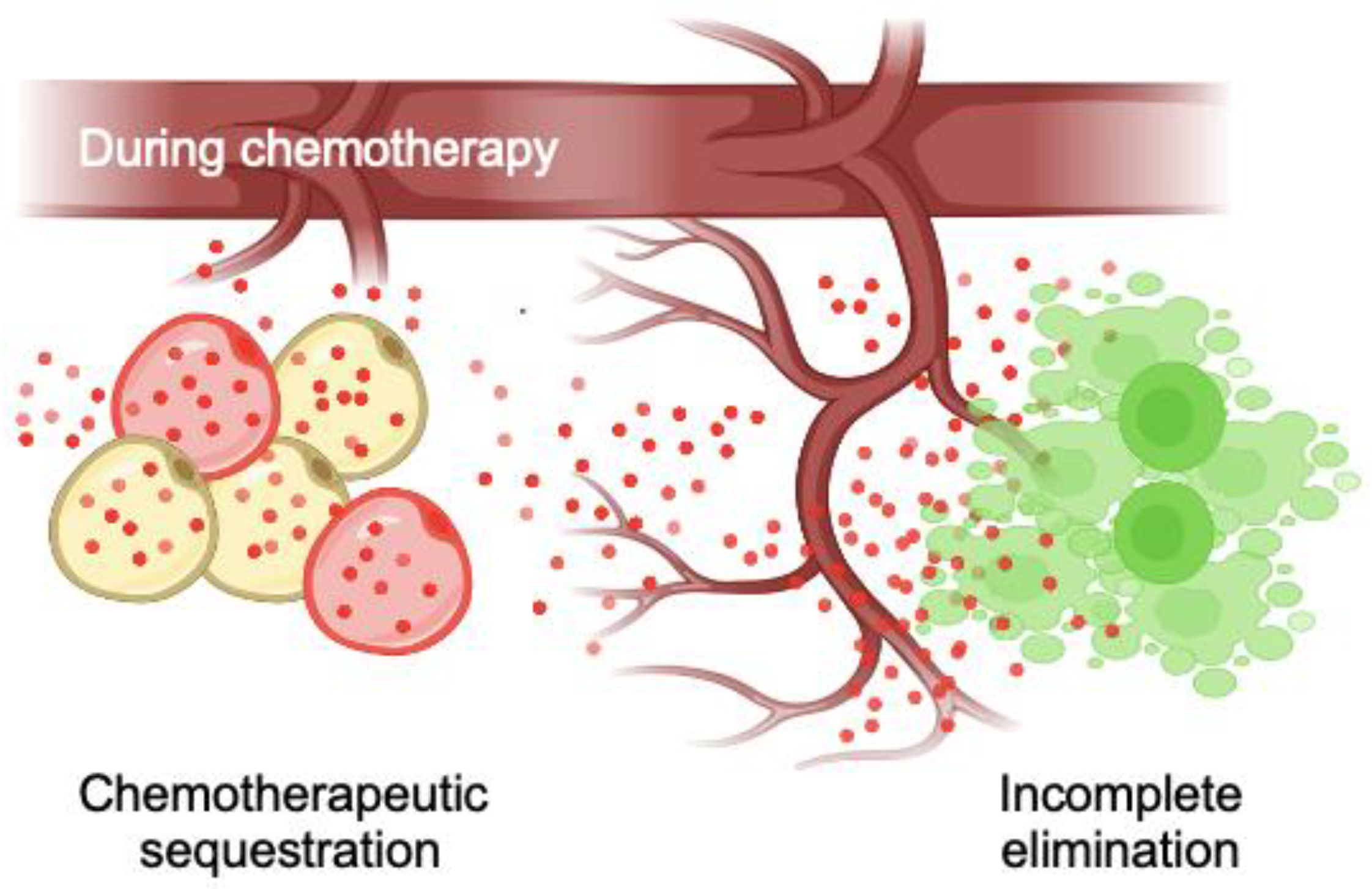 Cancers 15 02737 g006