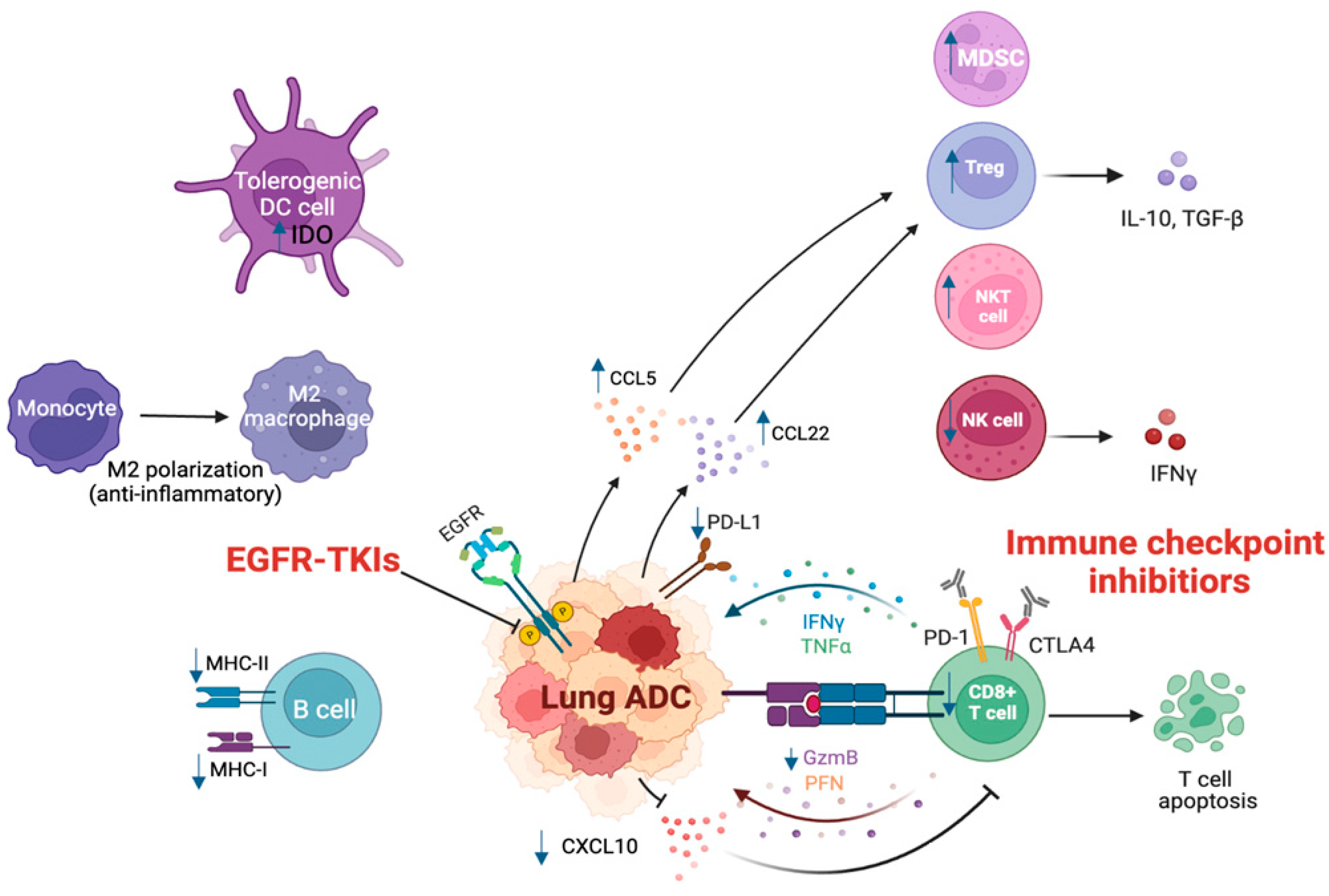 Cancers 15 02749 g001