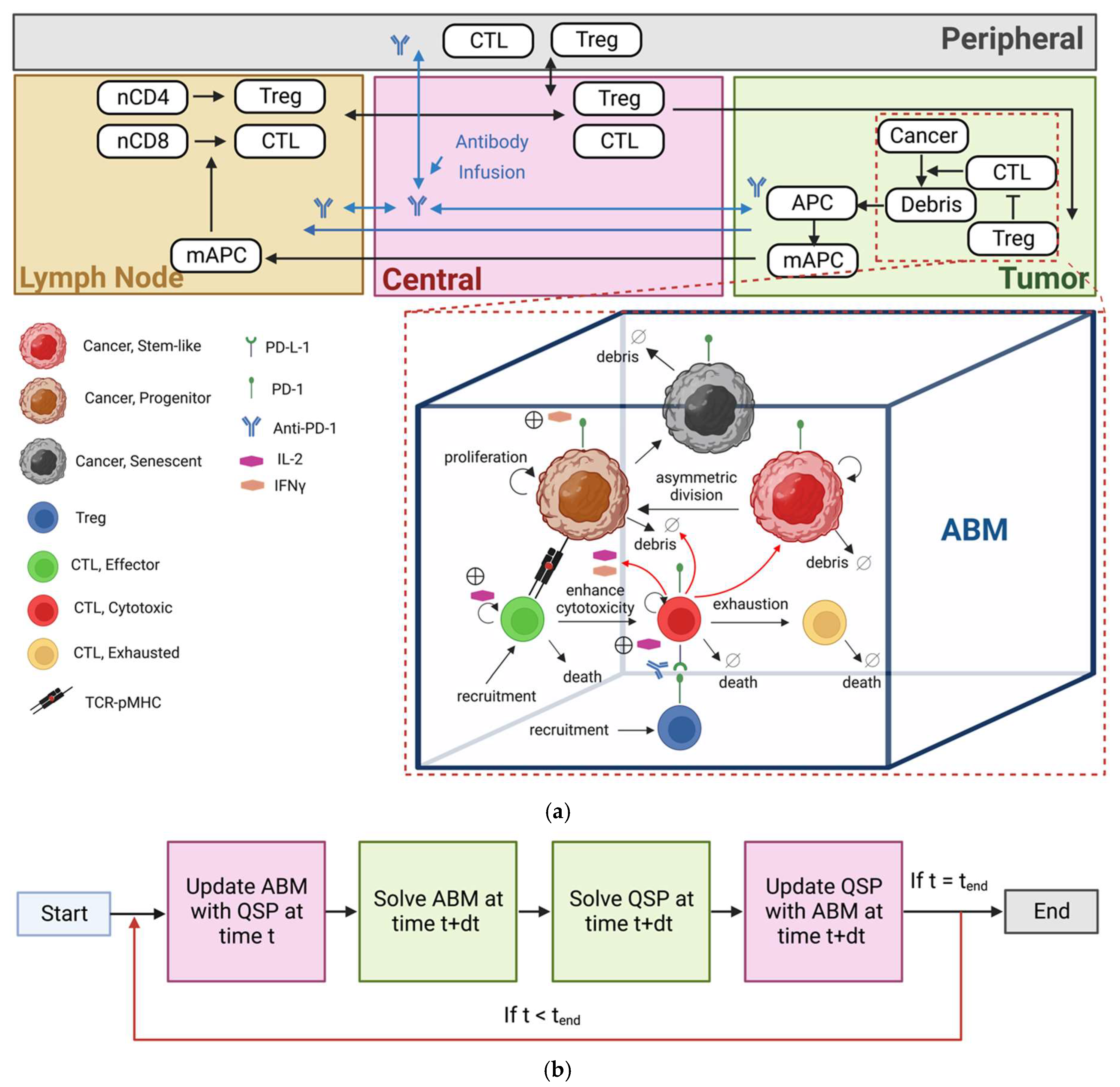 Cancers 15 02750 g001