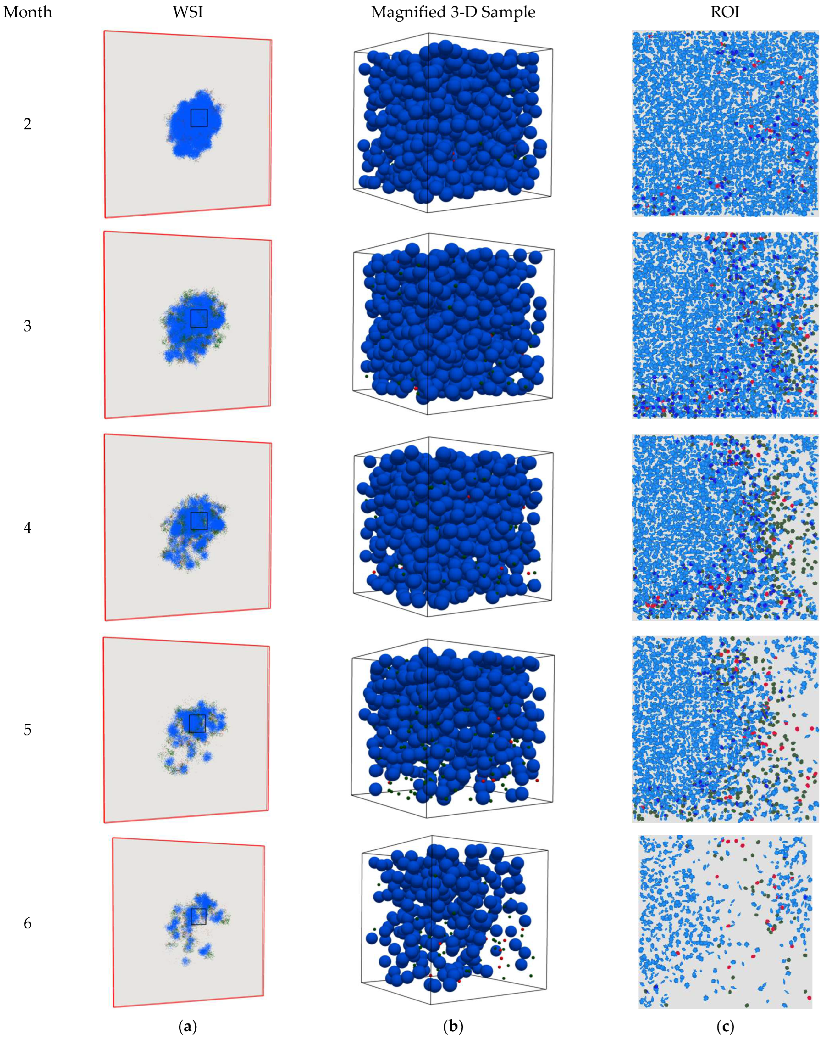 Cancers 15 02750 g003